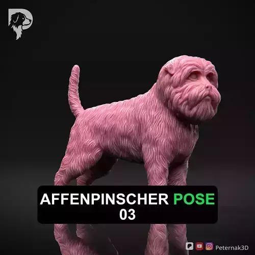 Dog 3D Print Model Affenpinscher Pose 03 Print Ready STL
