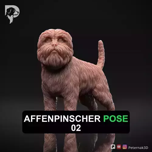Dog 3D Print Model Affenpinscher Pose 02 Print Ready STL