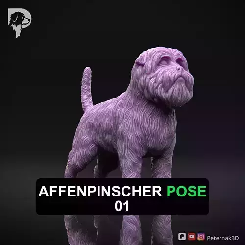 Dog 3D Print Model Affenpinscher Pose 01 Print Ready STL