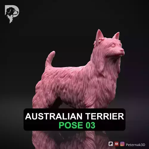 Dog 3D Print Model Australian Terrier Dog Pose 03 Ready STL