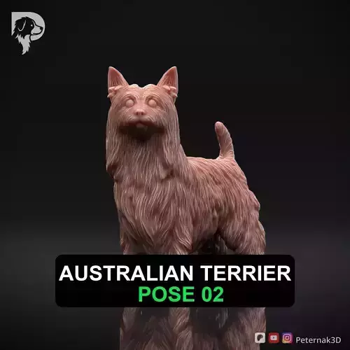Dog 3D Print Model Australian Terrier Dog Pose 02 Ready STL 3D print model