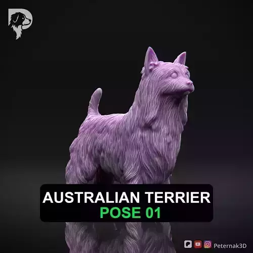 Dog 3D Print Model Australian Terrier Dog Pose 01 Ready STL