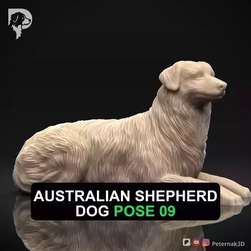 Dog 3D Print Model Australian Shepherd Dog Pose 09 Ready STL