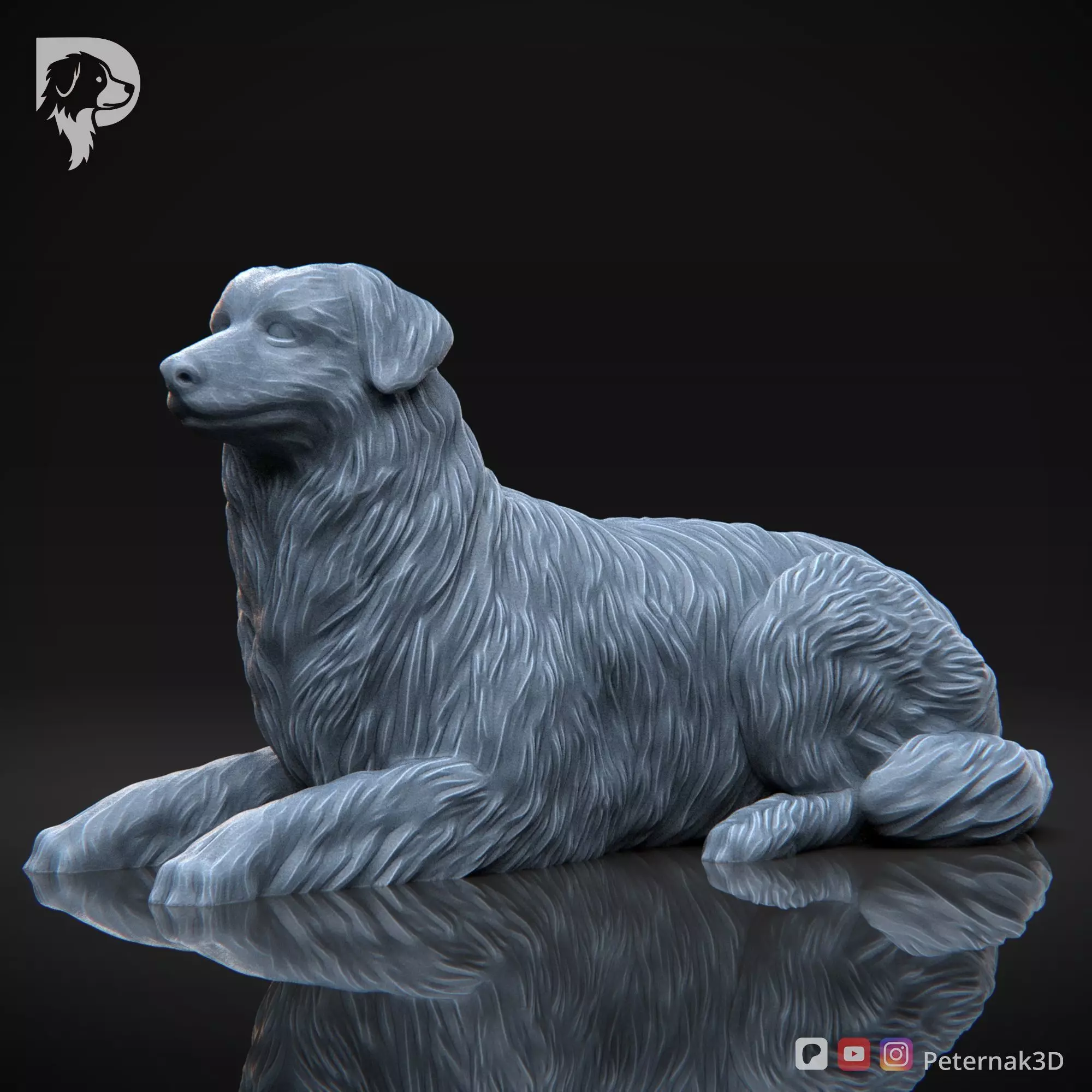 Dog 3D Print Model Australian Shepherd Dog Pose 08 Ready STL 3D print model_11