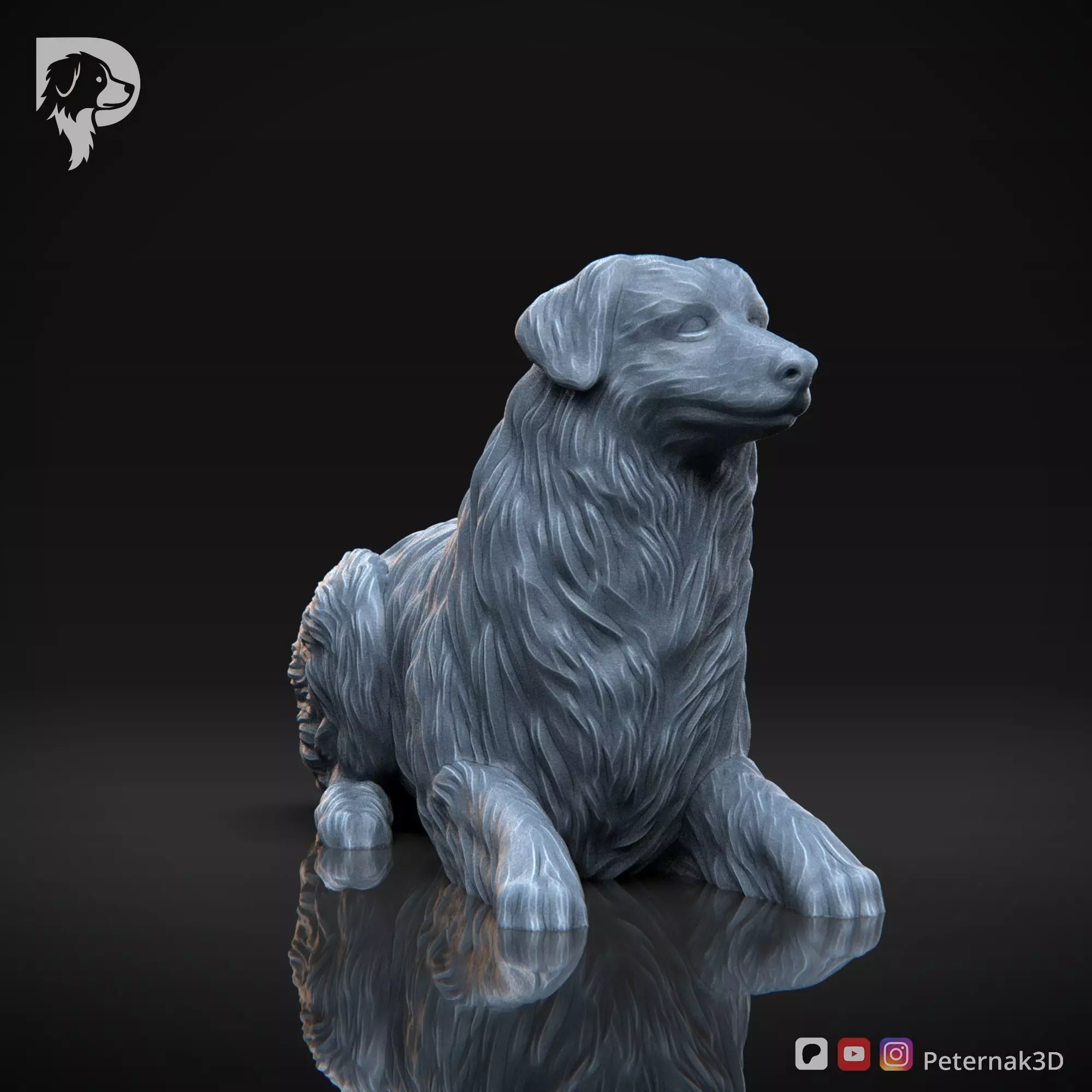 Dog 3D Print Model Australian Shepherd Dog Pose 08 Ready STL 3D print model_3