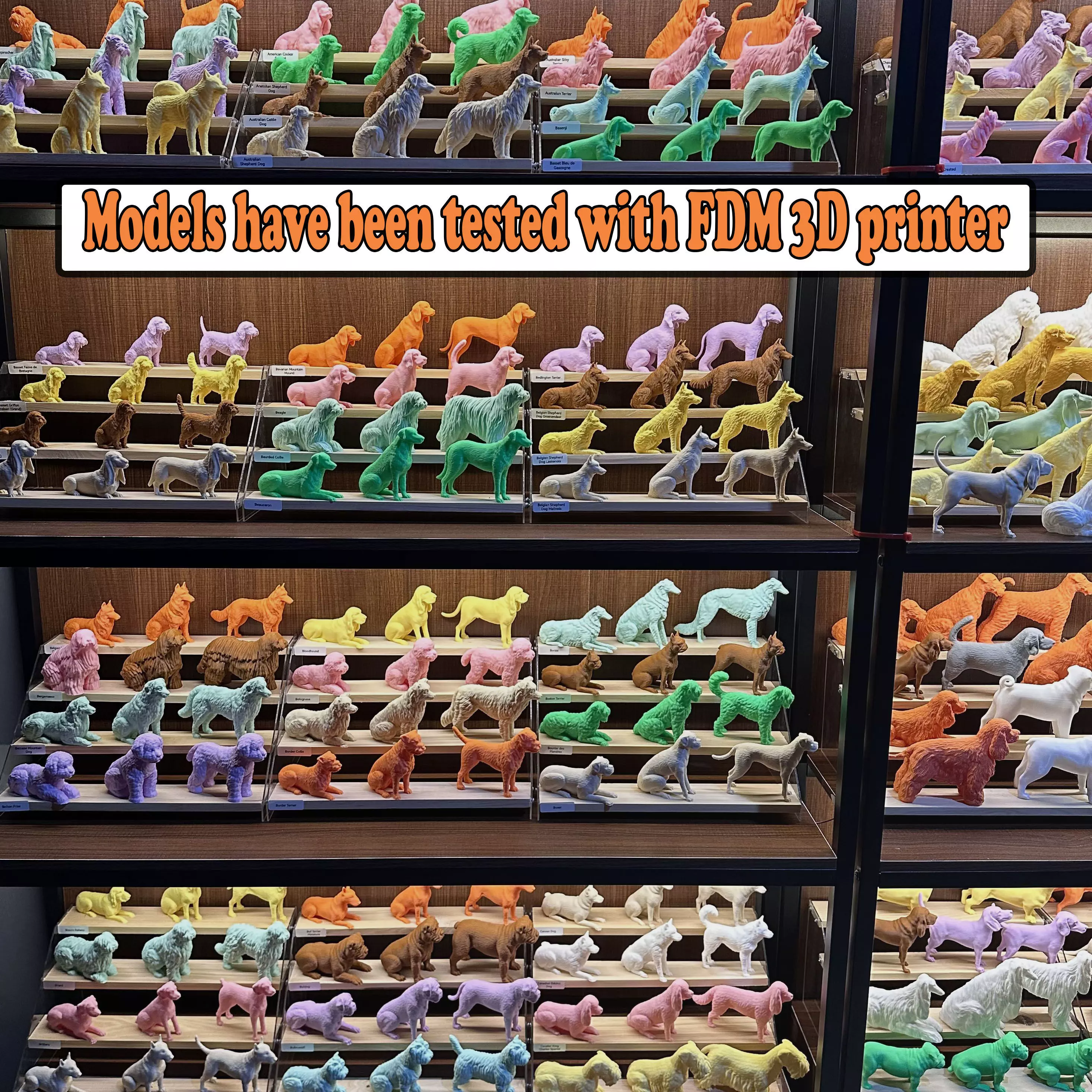 Dog 3D Print Model Australian Shepherd Dog Pose 08 Ready STL 3D print model_1