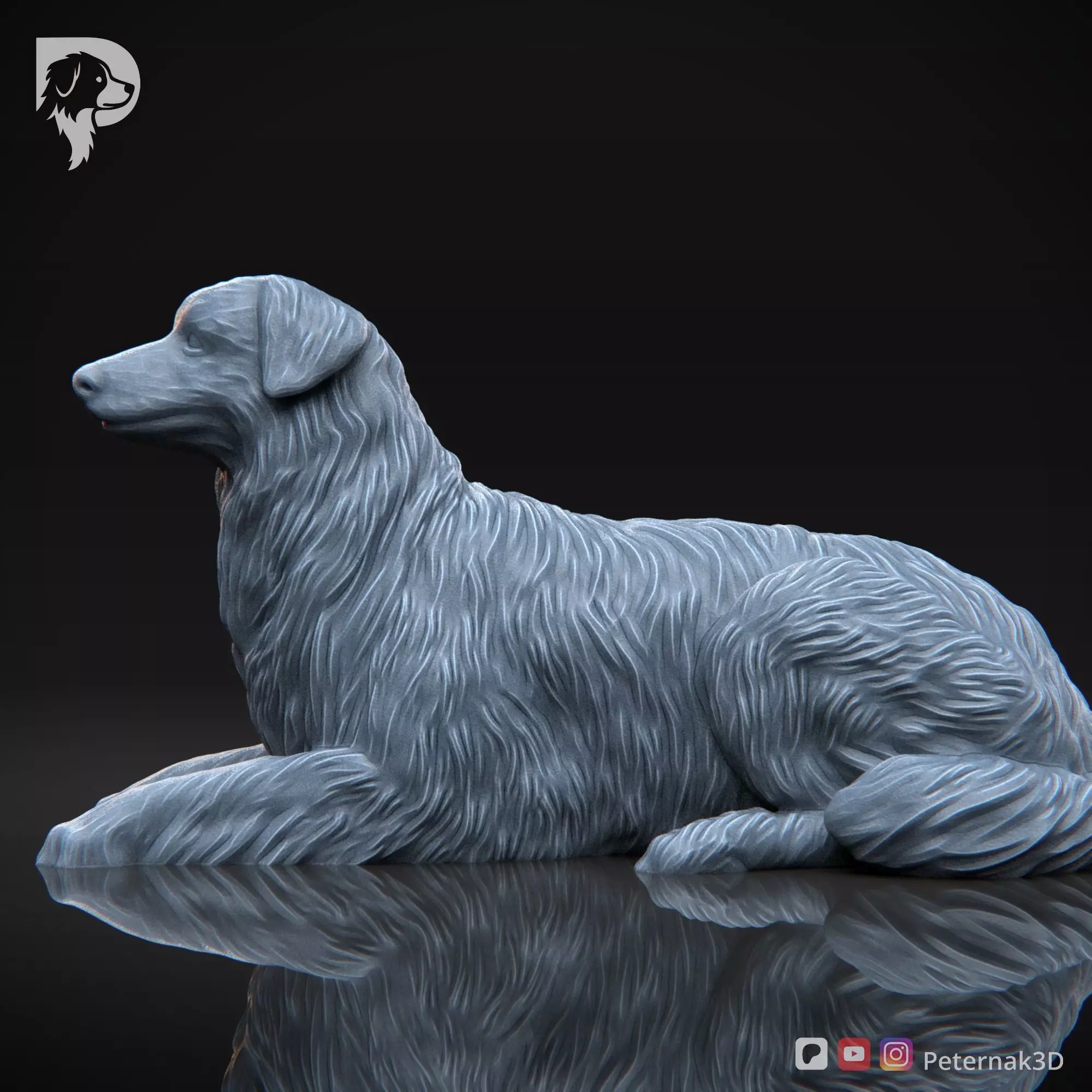 Dog 3D Print Model Australian Shepherd Dog Pose 08 Ready STL 3D print model_10