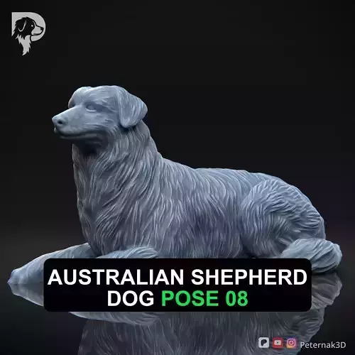 Dog 3D Print Model Australian Shepherd Dog Pose 08 Ready STL
