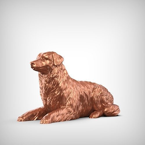 Australian Shepherd Dog 3D Print Model Pose 07 3D print model