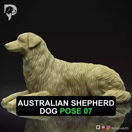 Dog 3D Print Model Australian Shepherd Dog Pose 07 Ready STL