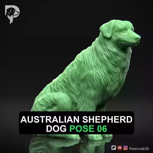 Dog 3D Print Model Australian Shepherd Dog Pose 06 Ready STL
