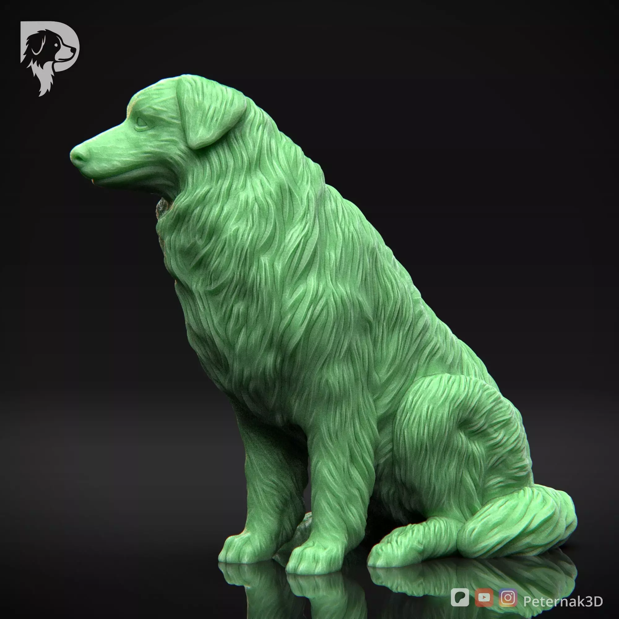 Dog 3D Print Model Australian Shepherd Dog Pose 06 Ready STL 3D print model_10