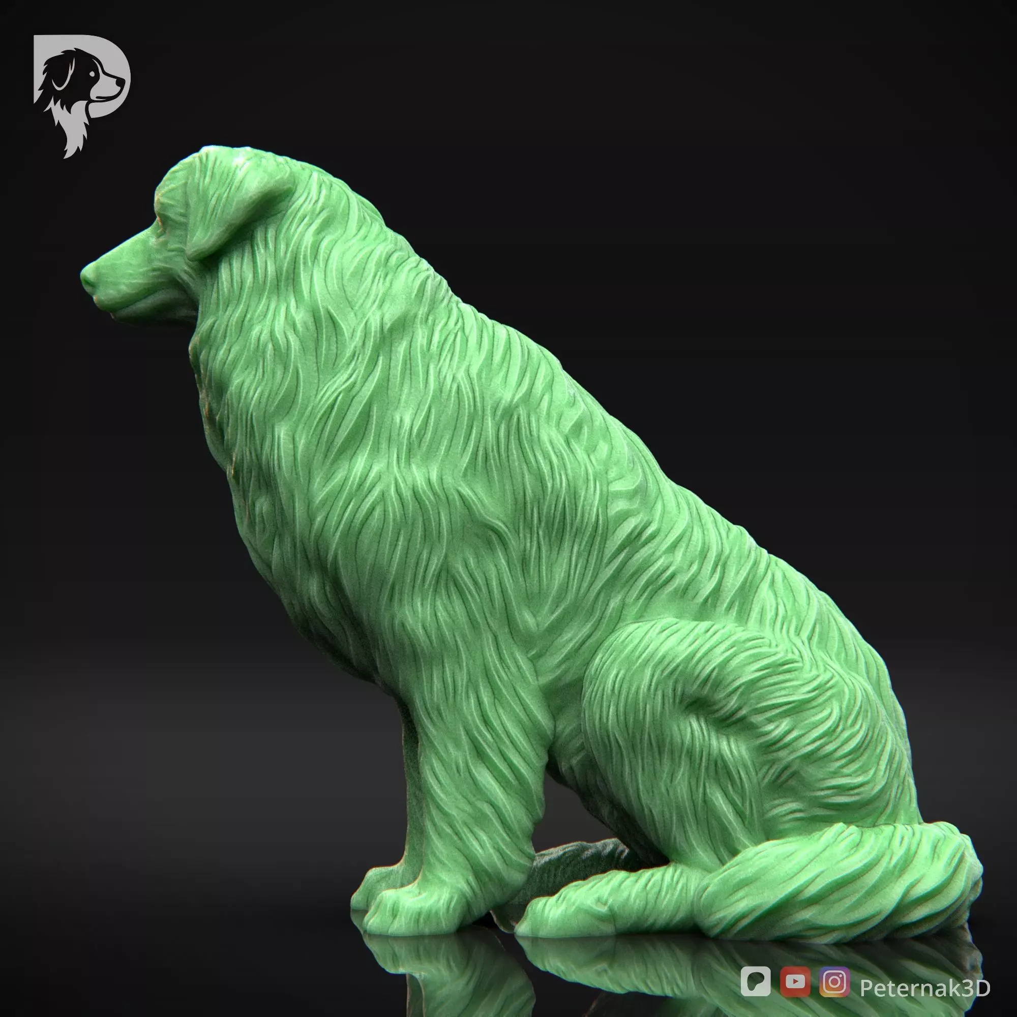 Dog 3D Print Model Australian Shepherd Dog Pose 06 Ready STL 3D print model_9