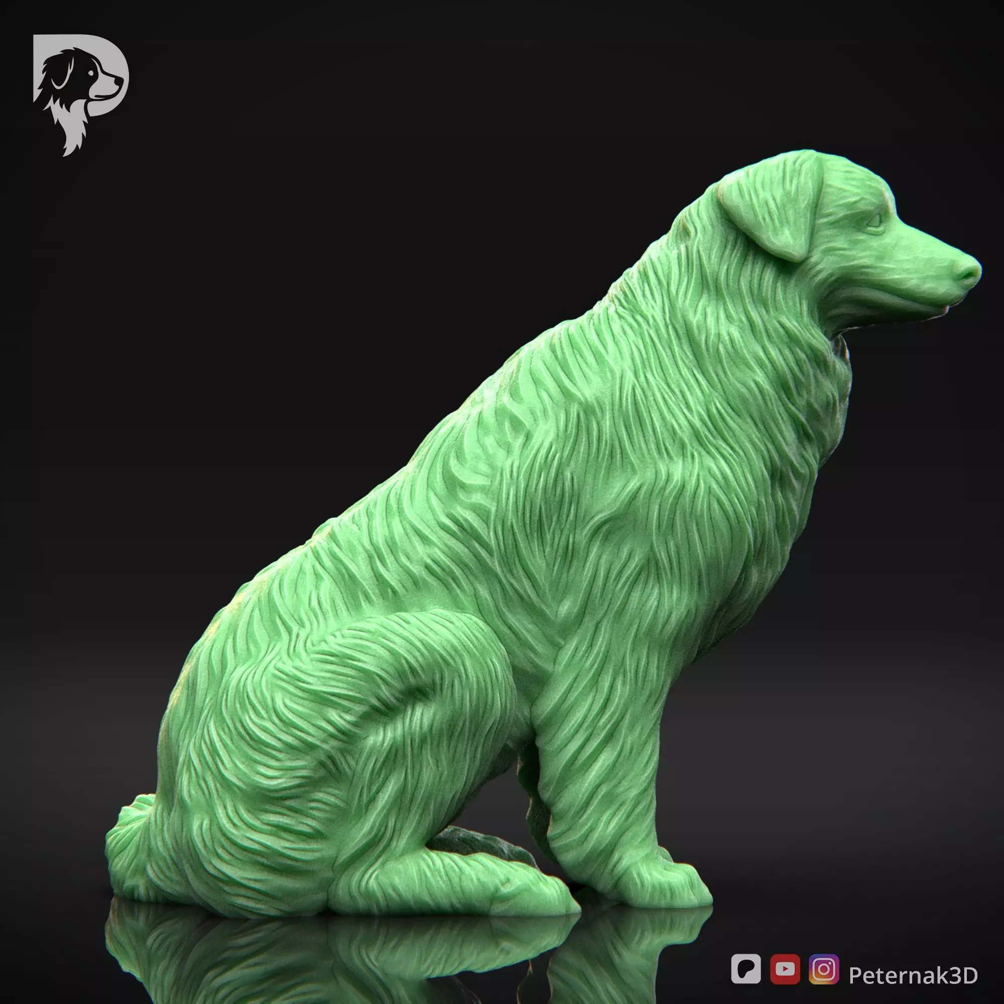 Dog 3D Print Model Australian Shepherd Dog Pose 06 Ready STL 3D print model_4