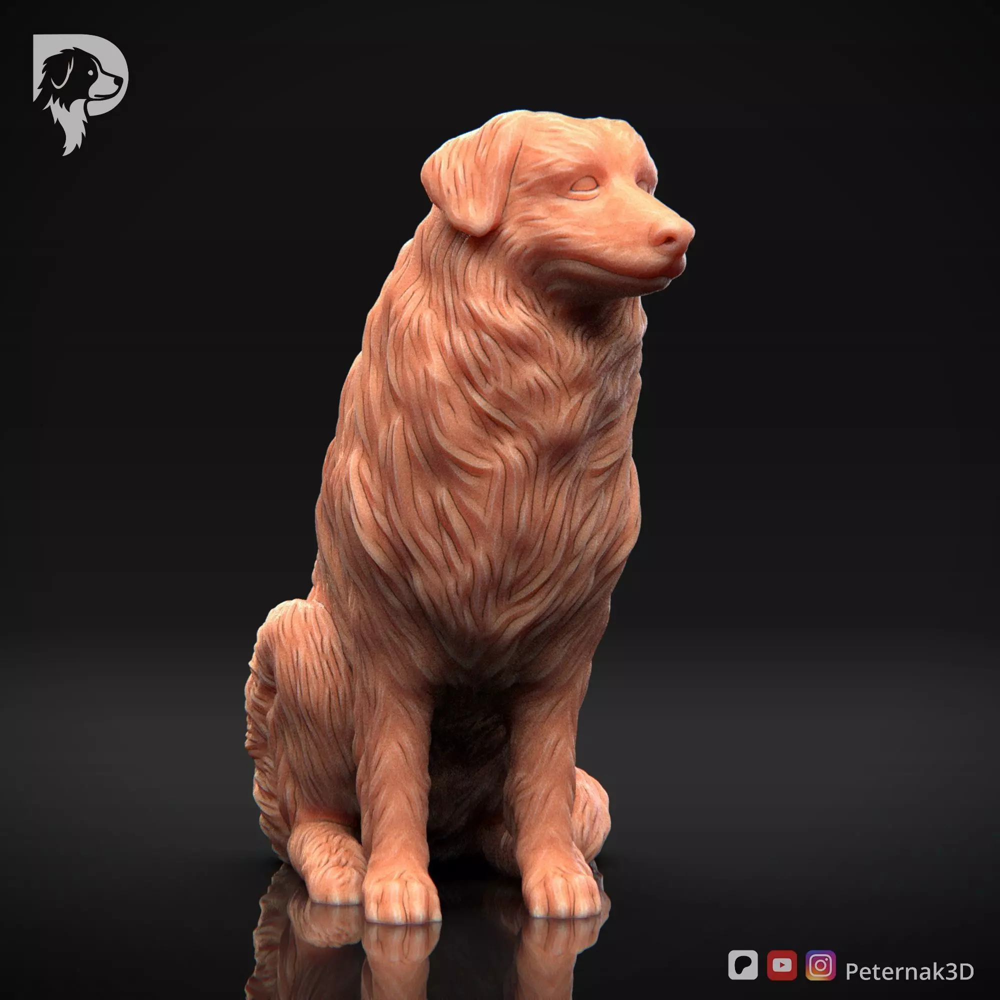 Dog 3D Print Model Australian Shepherd Dog Pose 05 Ready STL 3D print model_3