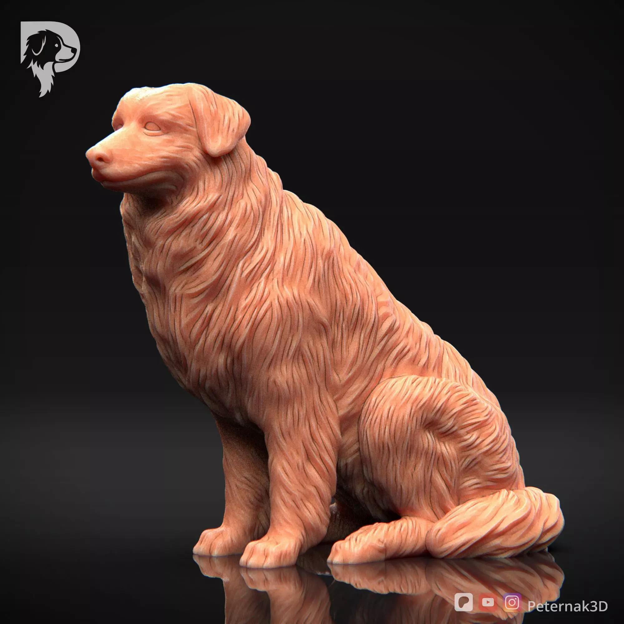 Dog 3D Print Model Australian Shepherd Dog Pose 05 Ready STL 3D print model_11