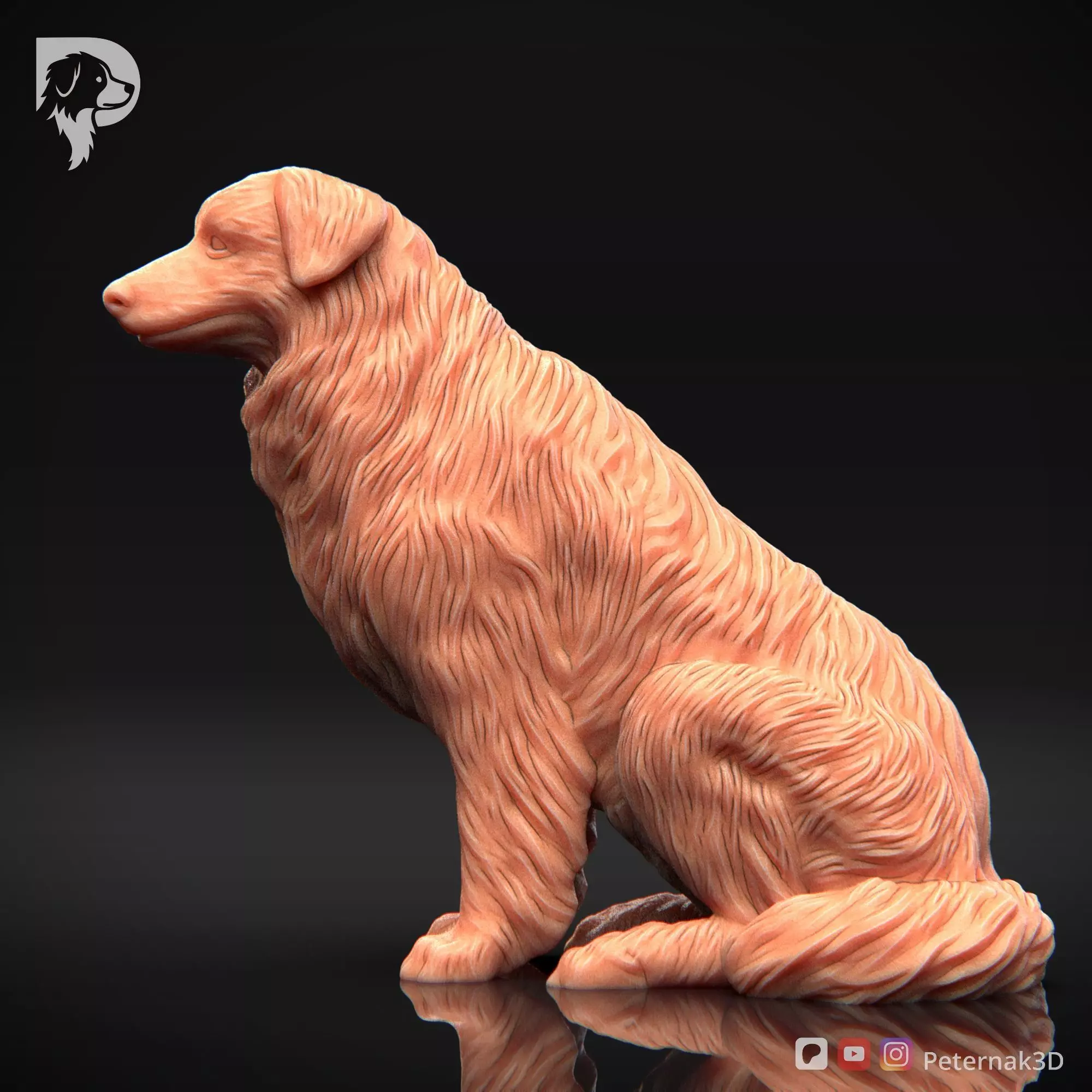 Dog 3D Print Model Australian Shepherd Dog Pose 05 Ready STL 3D print model_10