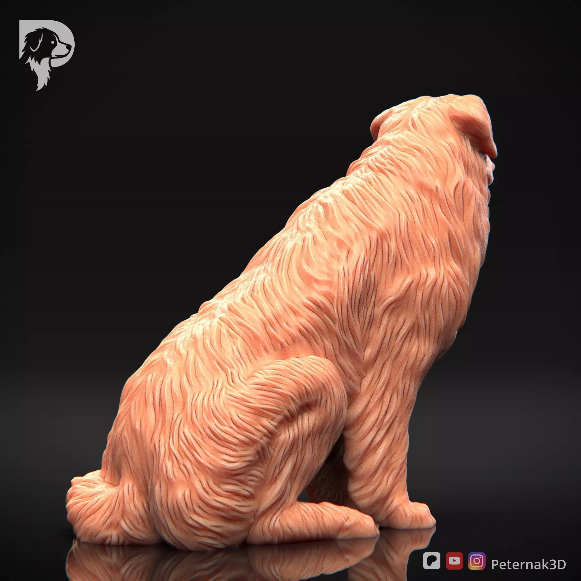 Dog 3D Print Model Australian Shepherd Dog Pose 05 Ready STL 3D print model_6