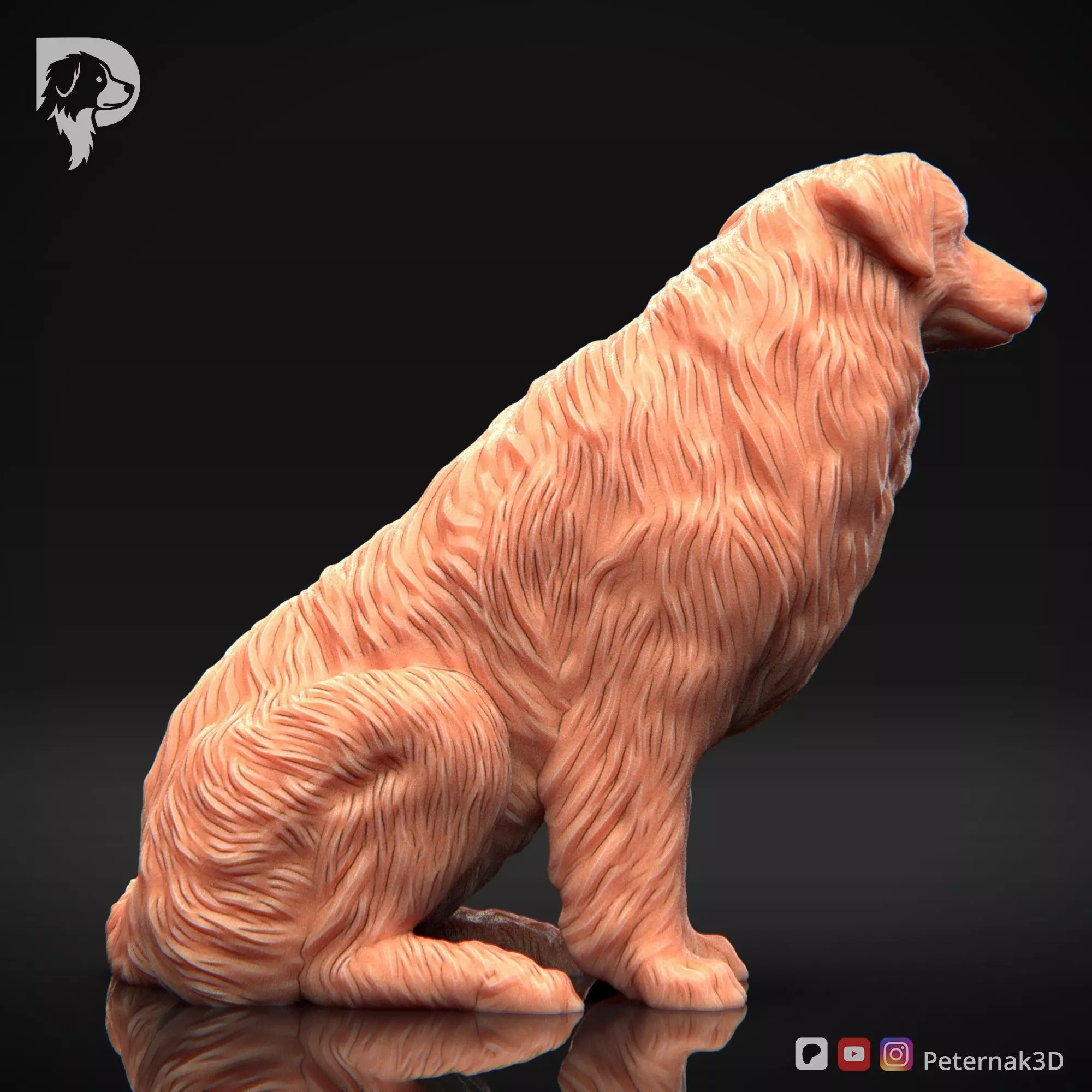 Dog 3D Print Model Australian Shepherd Dog Pose 05 Ready STL 3D print model_5