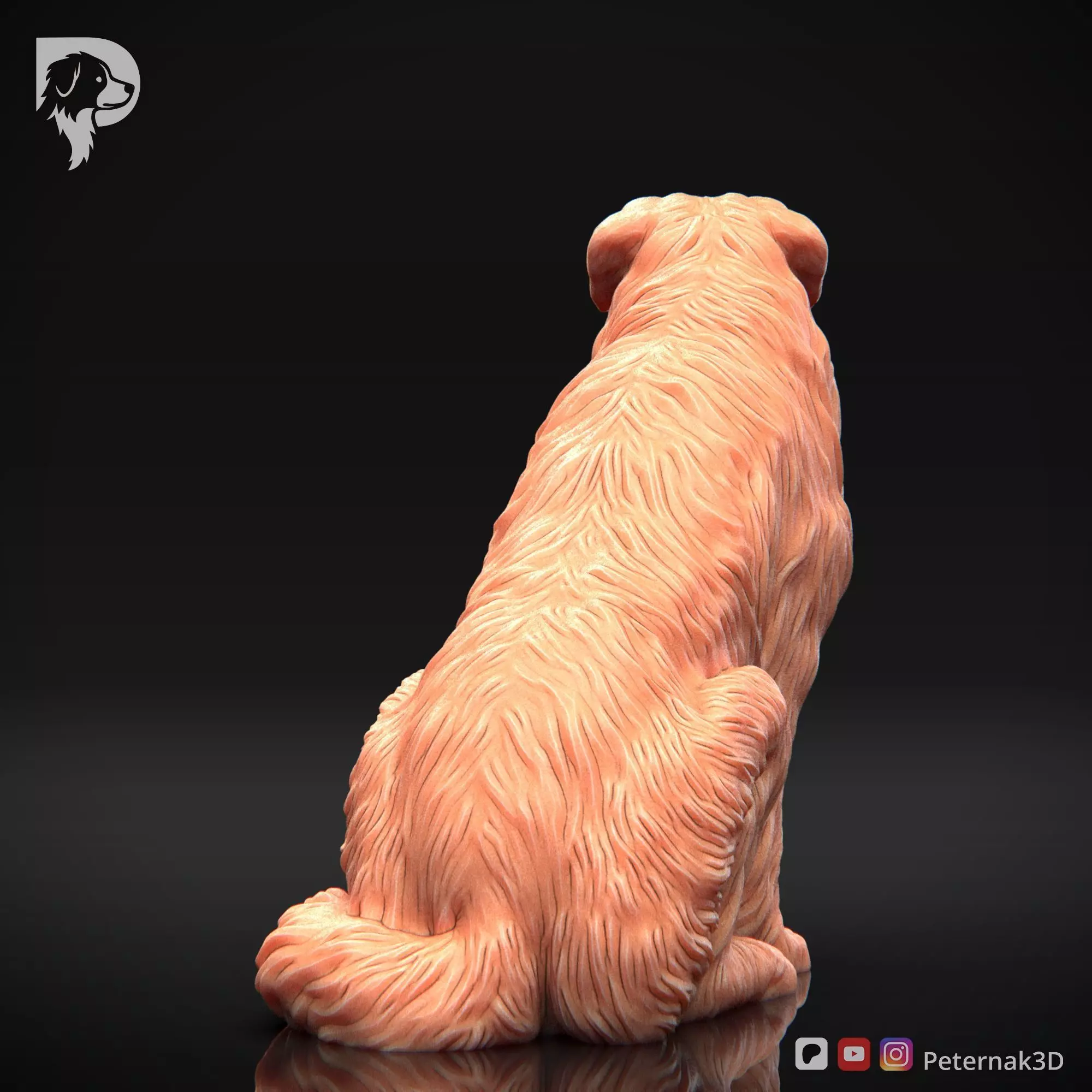 Dog 3D Print Model Australian Shepherd Dog Pose 05 Ready STL 3D print model_7