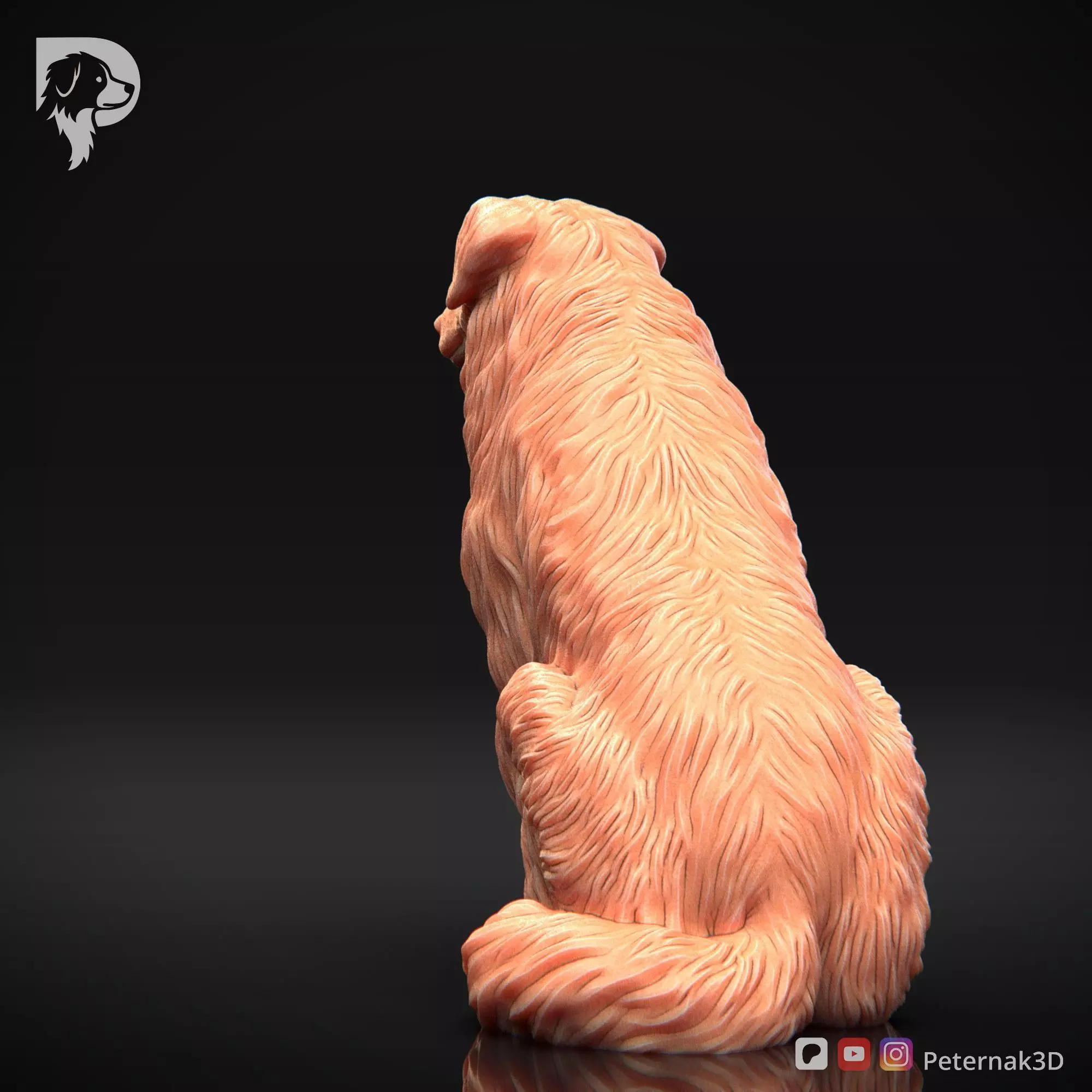 Dog 3D Print Model Australian Shepherd Dog Pose 05 Ready STL 3D print model_8
