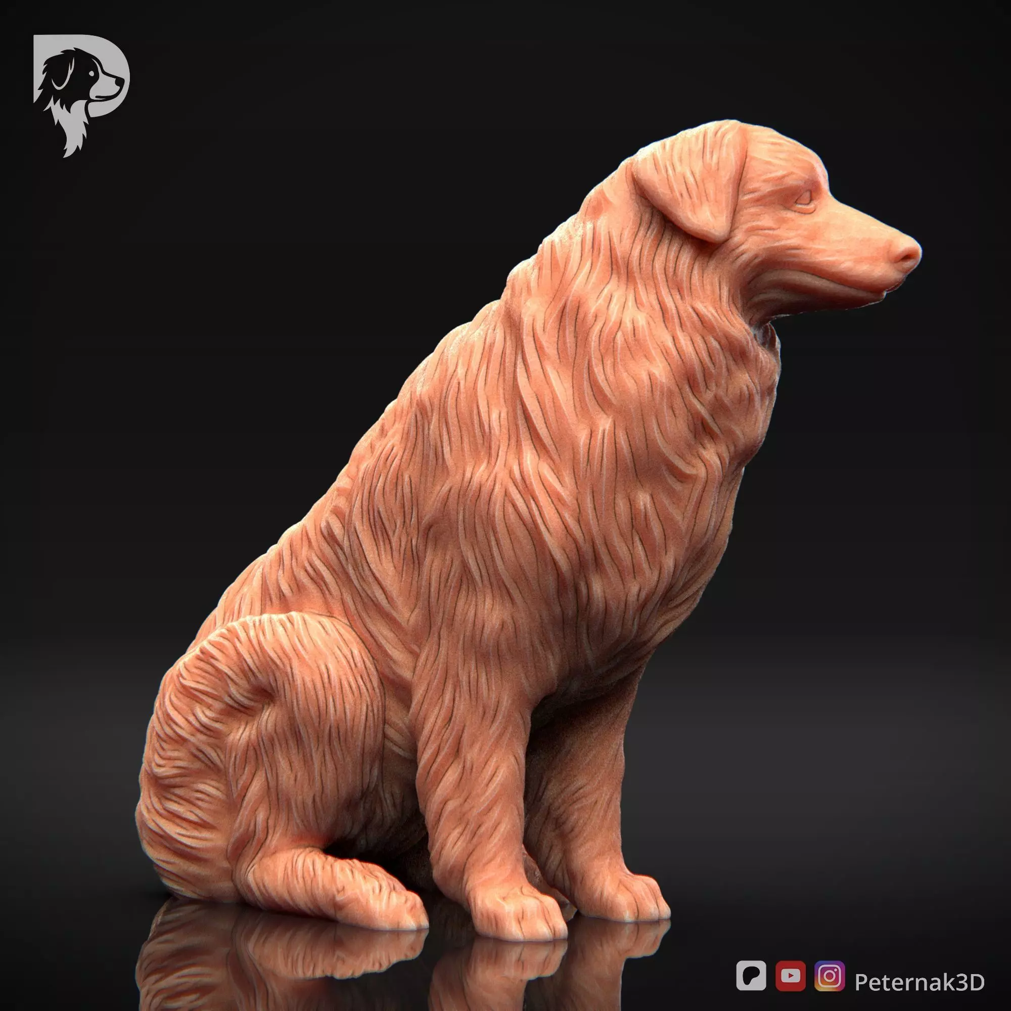 Dog 3D Print Model Australian Shepherd Dog Pose 05 Ready STL 3D print model_4