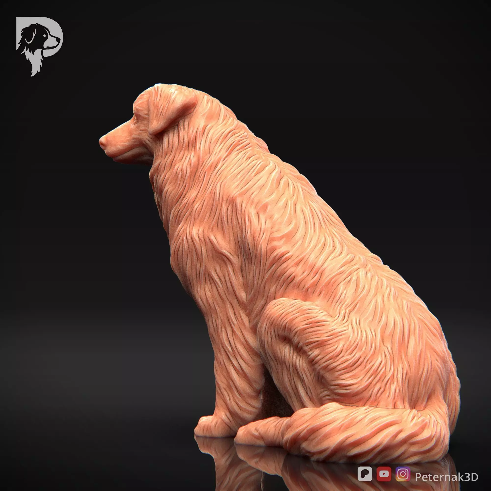 Dog 3D Print Model Australian Shepherd Dog Pose 05 Ready STL 3D print model_9