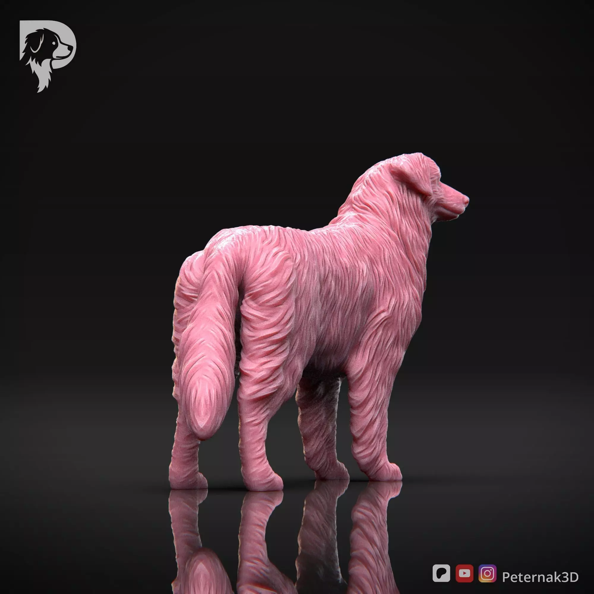 Dog 3D Print Model Australian Shepherd Dog Pose 03 Ready STL 3D print model_6