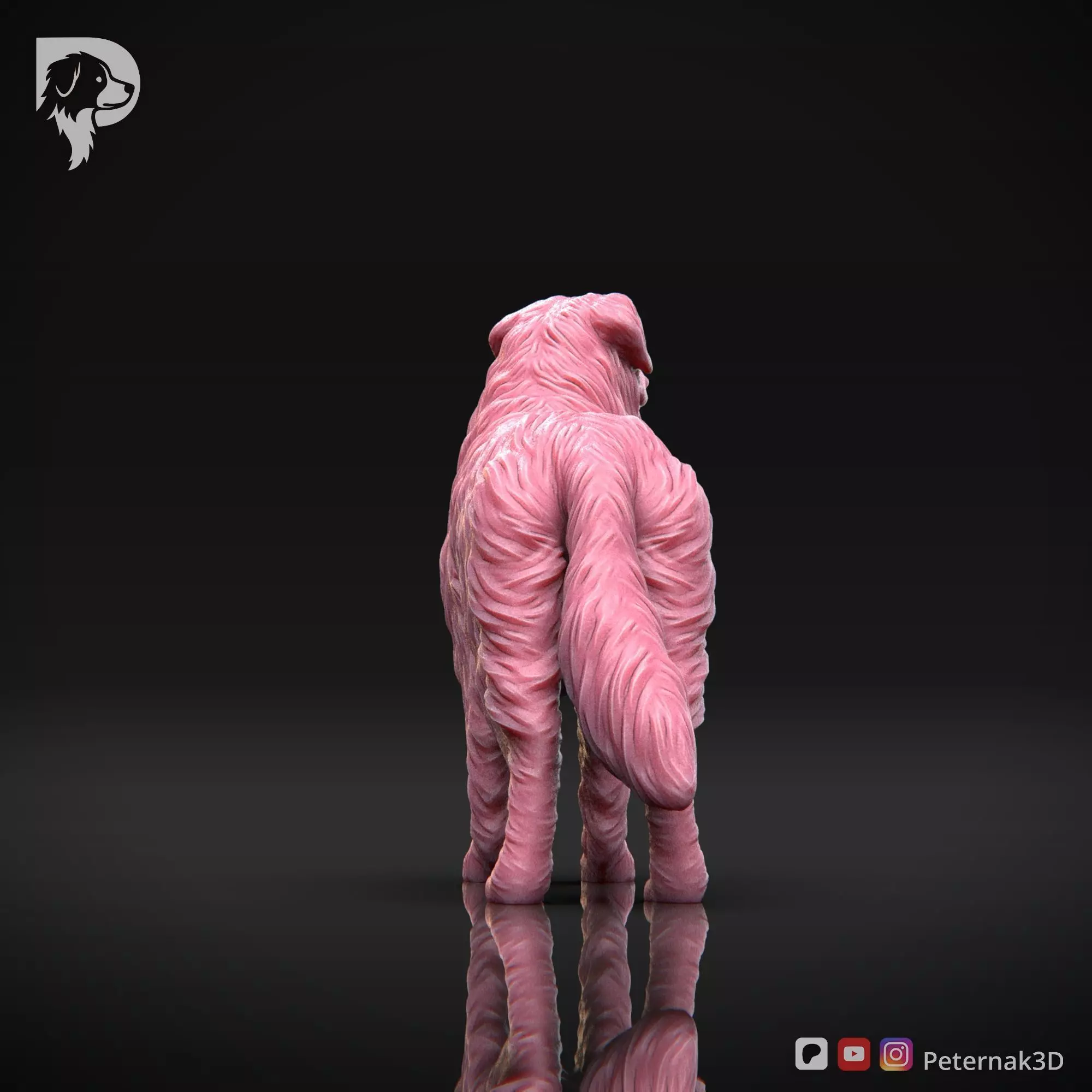 Dog 3D Print Model Australian Shepherd Dog Pose 03 Ready STL 3D print model_7