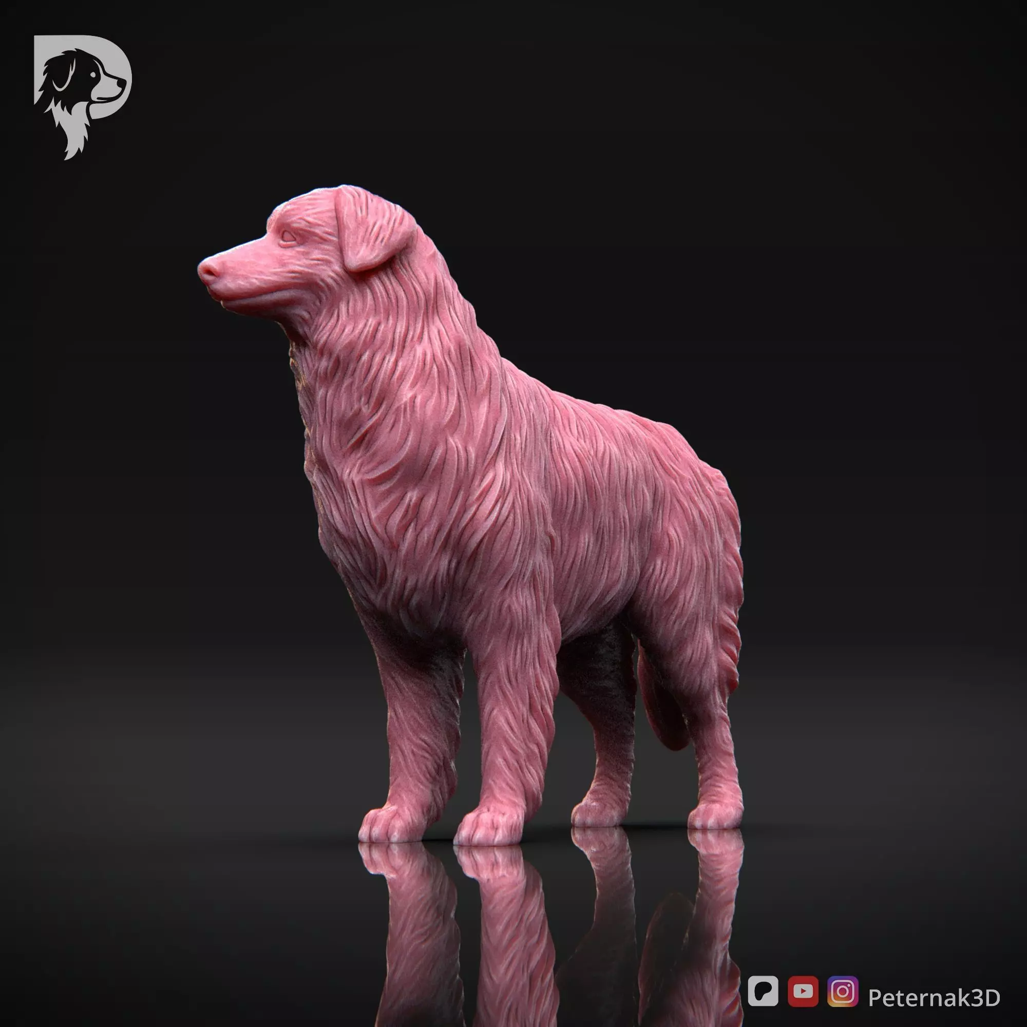 Dog 3D Print Model Australian Shepherd Dog Pose 03 Ready STL 3D print model_11