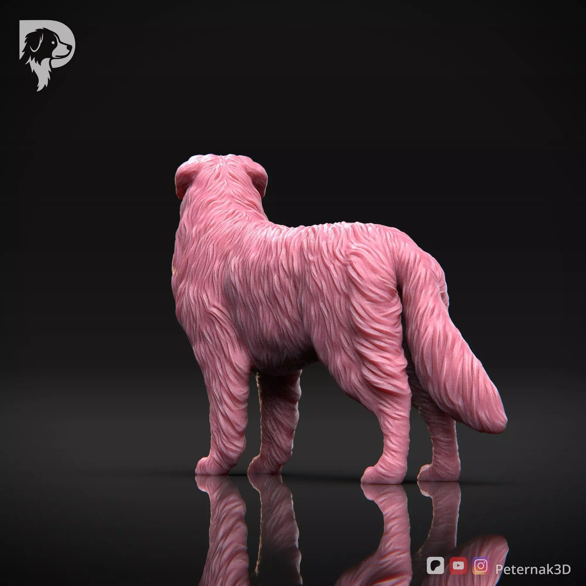Dog 3D Print Model Australian Shepherd Dog Pose 03 Ready STL 3D print model_8