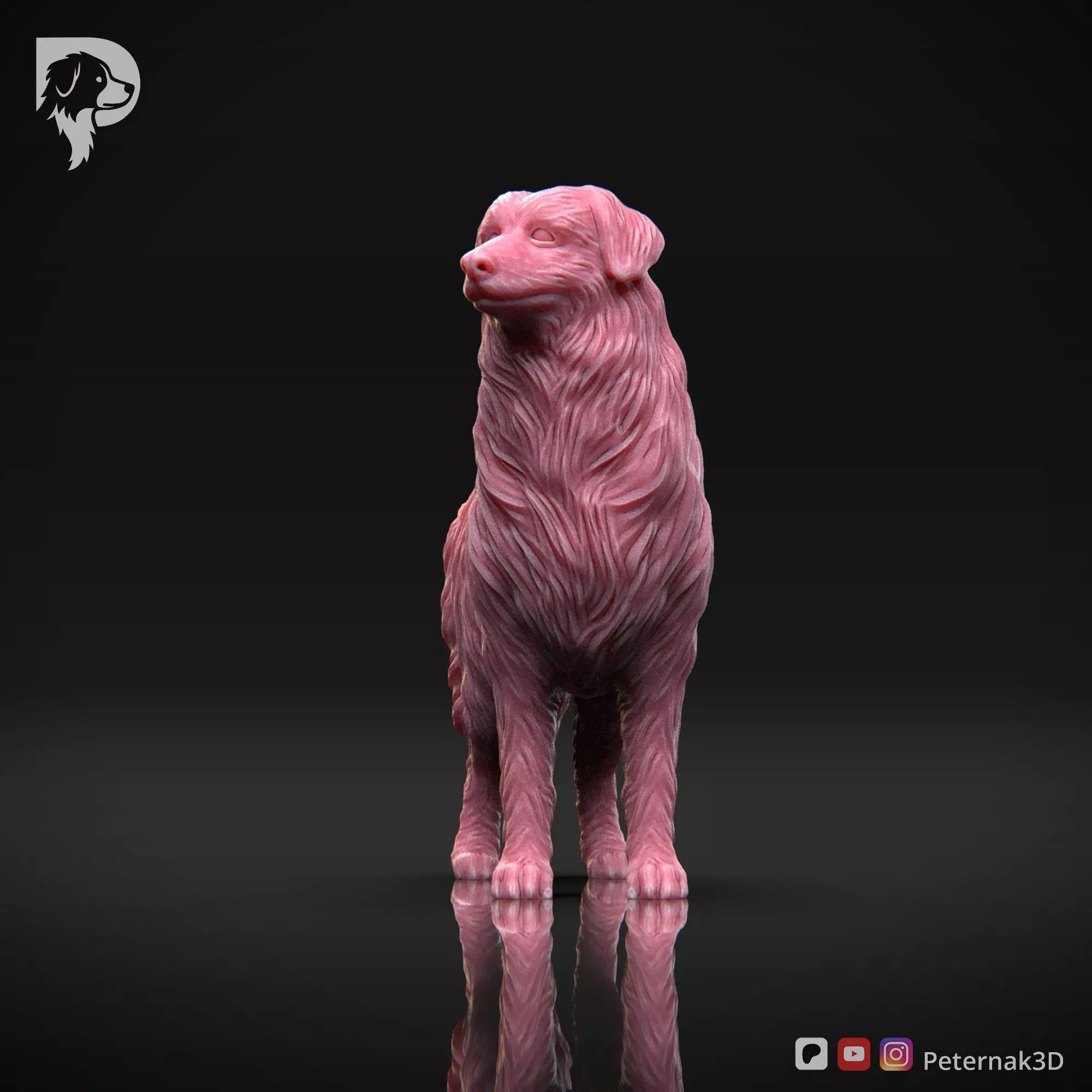 Dog 3D Print Model Australian Shepherd Dog Pose 03 Ready STL 3D print model_2