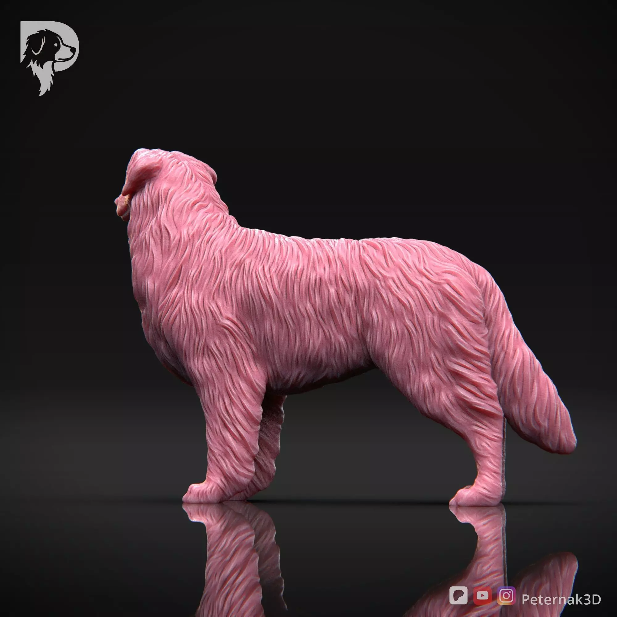 Dog 3D Print Model Australian Shepherd Dog Pose 03 Ready STL 3D print model_9