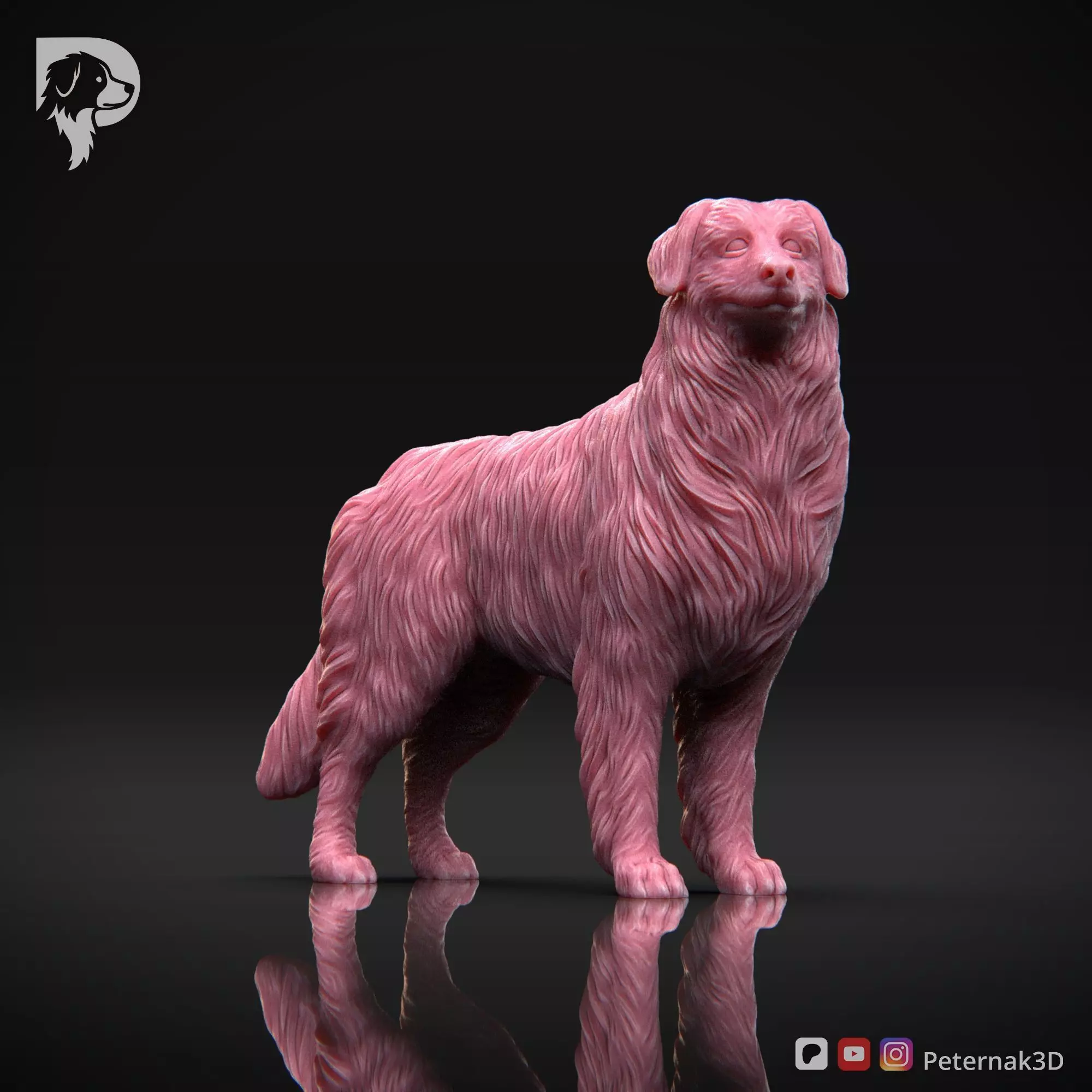 Dog 3D Print Model Australian Shepherd Dog Pose 03 Ready STL 3D print model_3