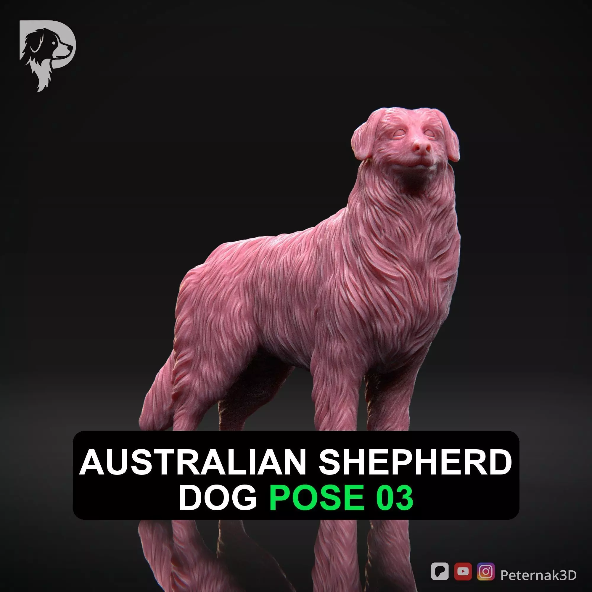 Dog 3D Print Model Australian Shepherd Dog Pose 03 Ready STL 3D print model_0