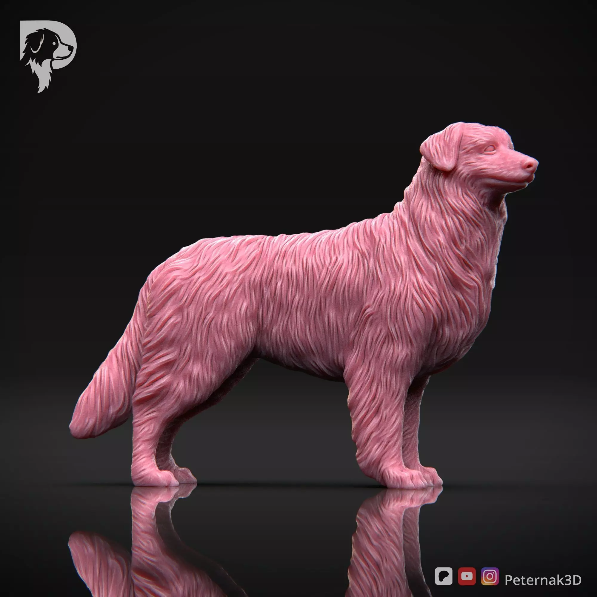 Dog 3D Print Model Australian Shepherd Dog Pose 03 Ready STL 3D print model_4