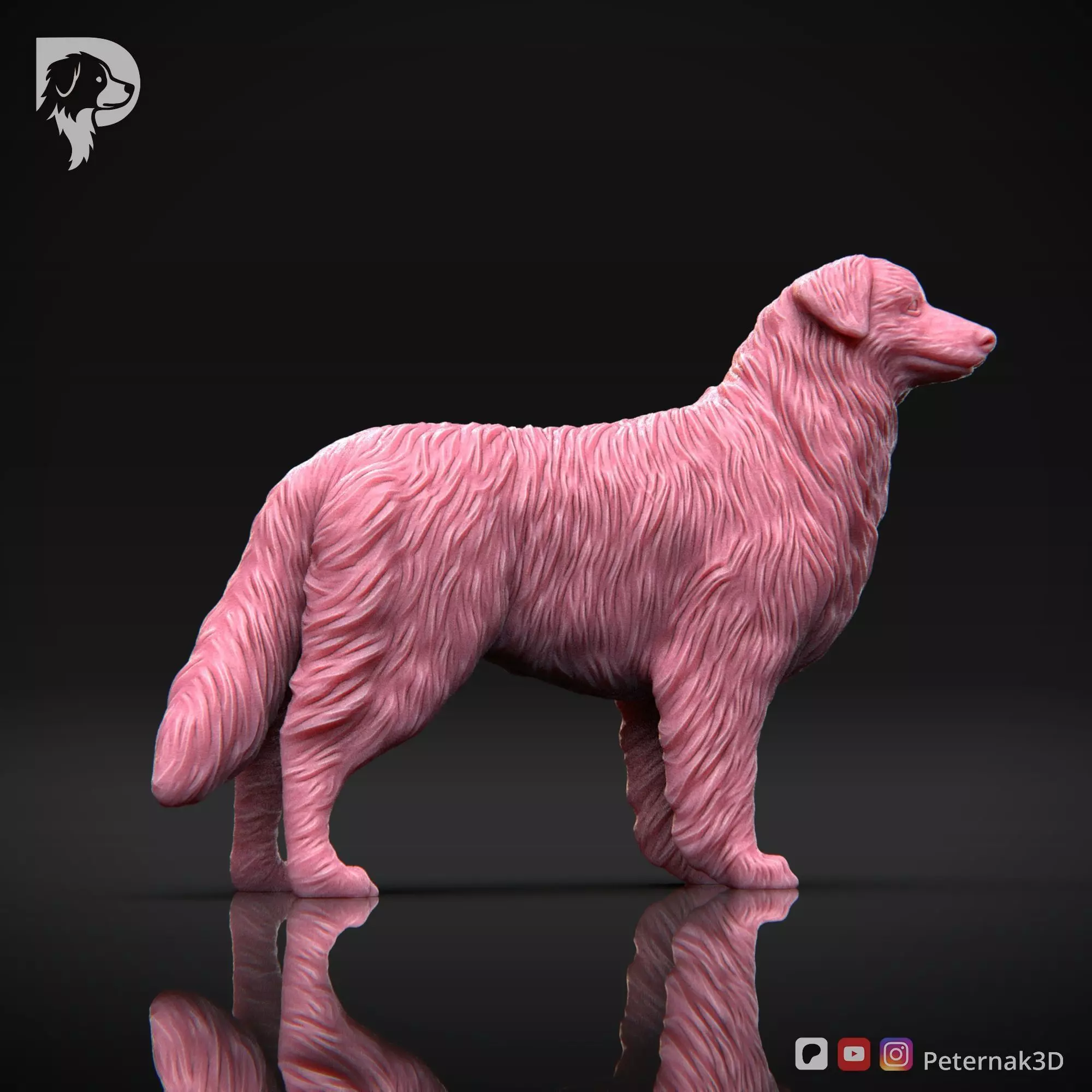 Dog 3D Print Model Australian Shepherd Dog Pose 03 Ready STL 3D print model_5
