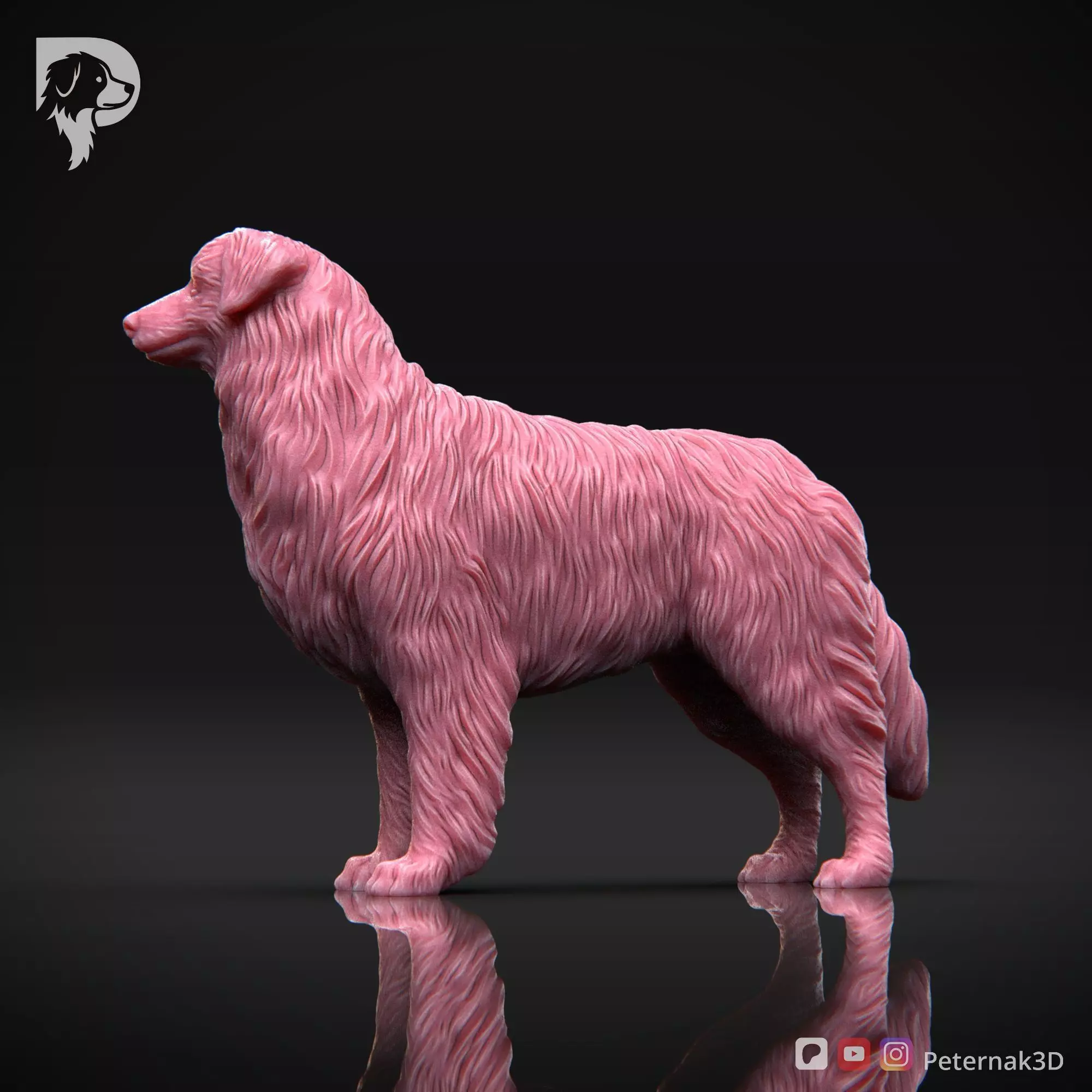 Dog 3D Print Model Australian Shepherd Dog Pose 03 Ready STL 3D print model_10