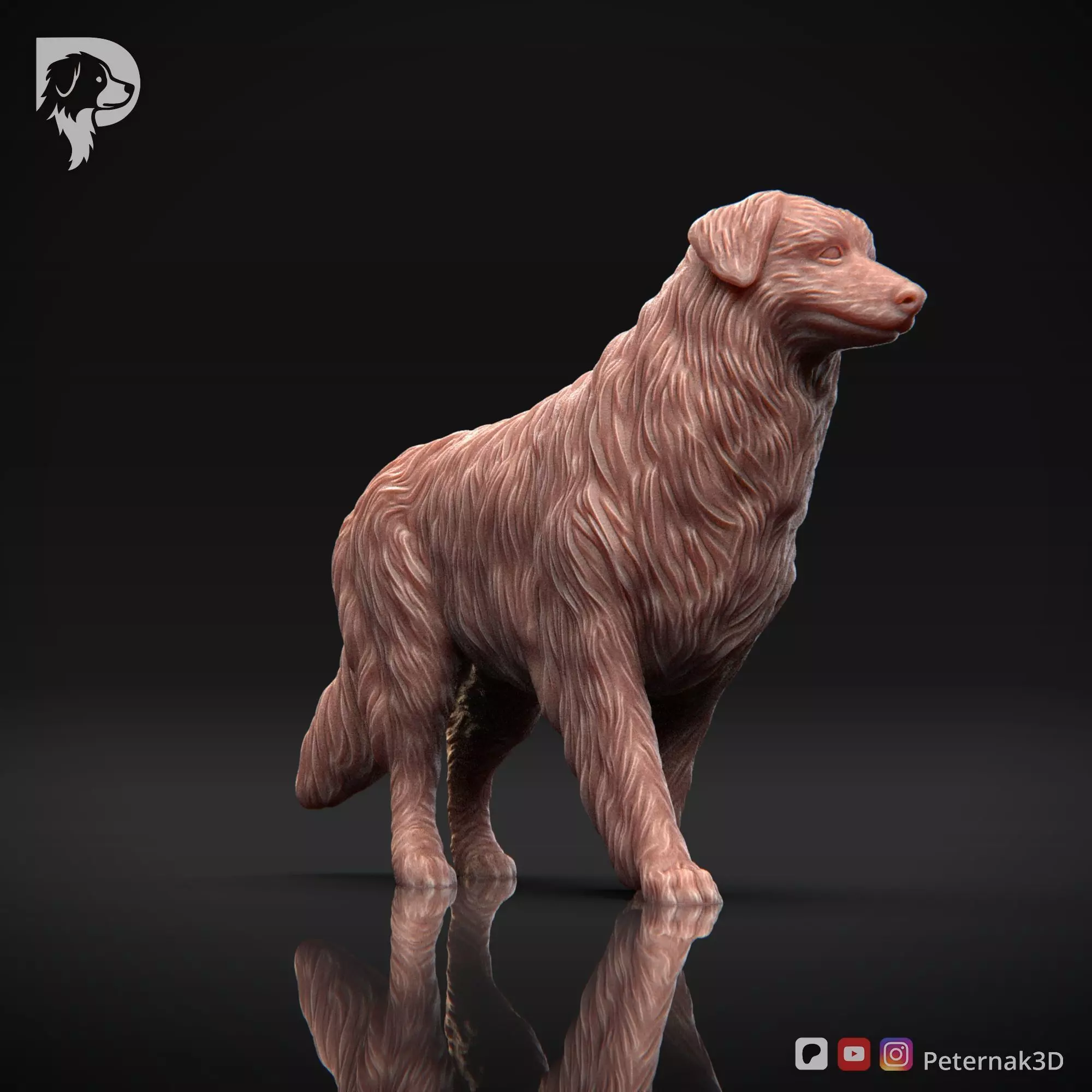 Dog 3D Print Model Australian Shepherd Dog Pose 02 Ready STL 3D print model_3