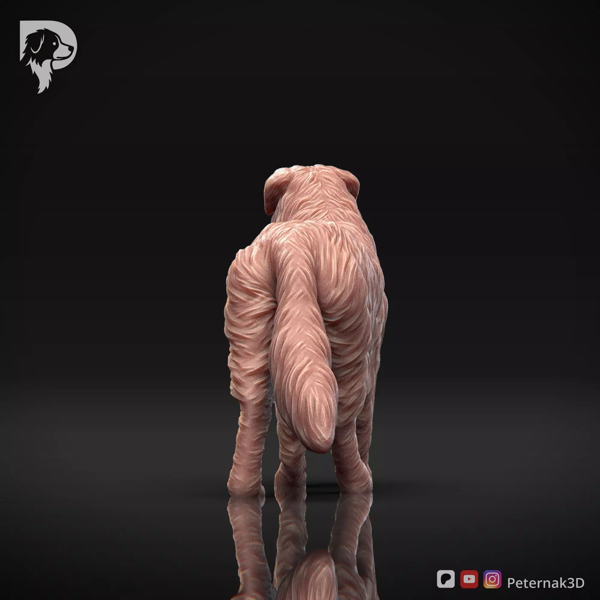 Dog 3D Print Model Australian Shepherd Dog Pose 02 Ready STL 3D print model_7