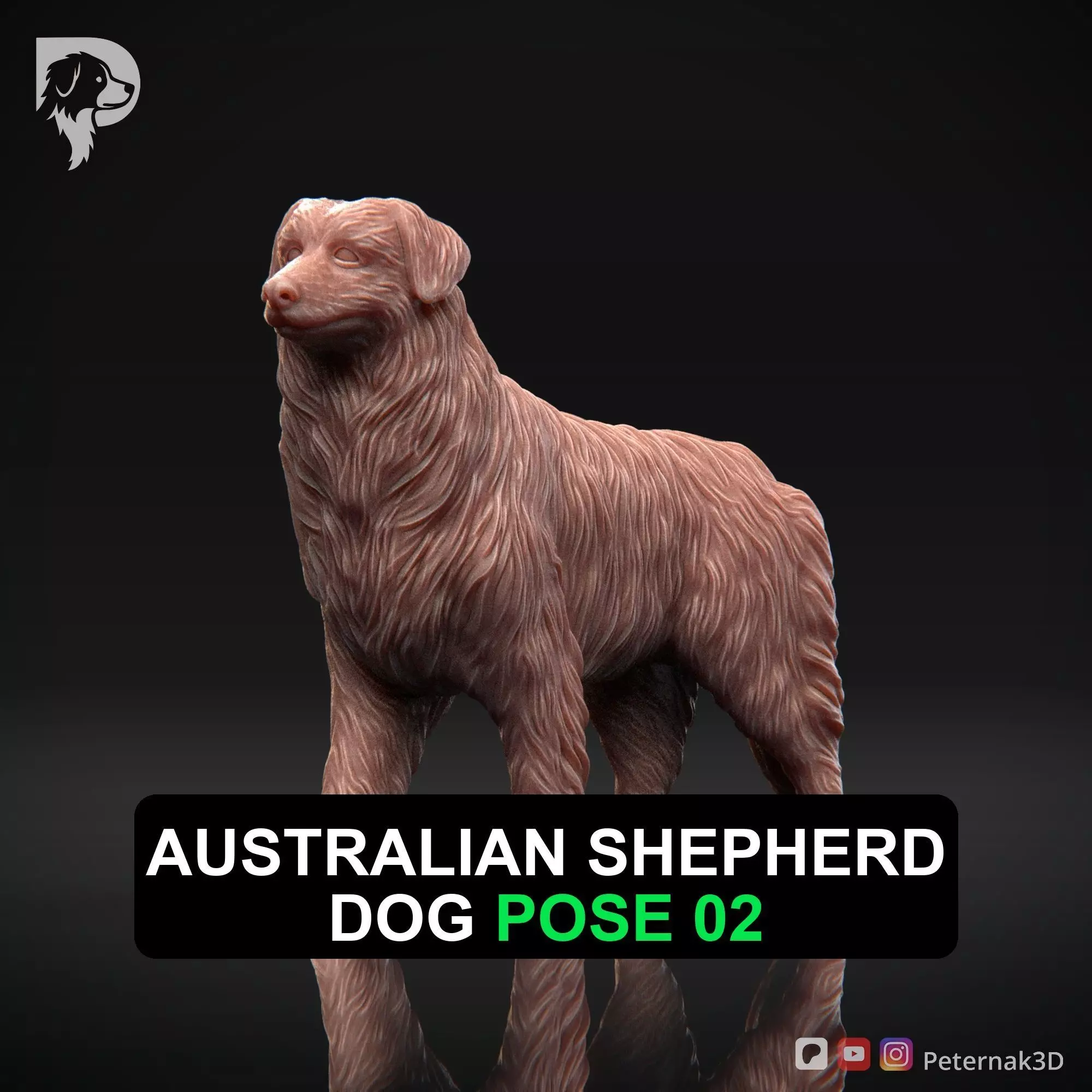 Dog 3D Print Model Australian Shepherd Dog Pose 02 Ready STL 3D print model_0