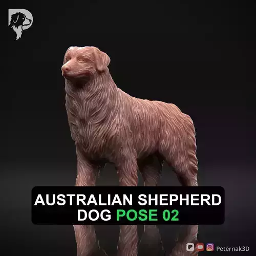 Dog 3D Print Model Australian Shepherd Dog Pose 02 Ready STL