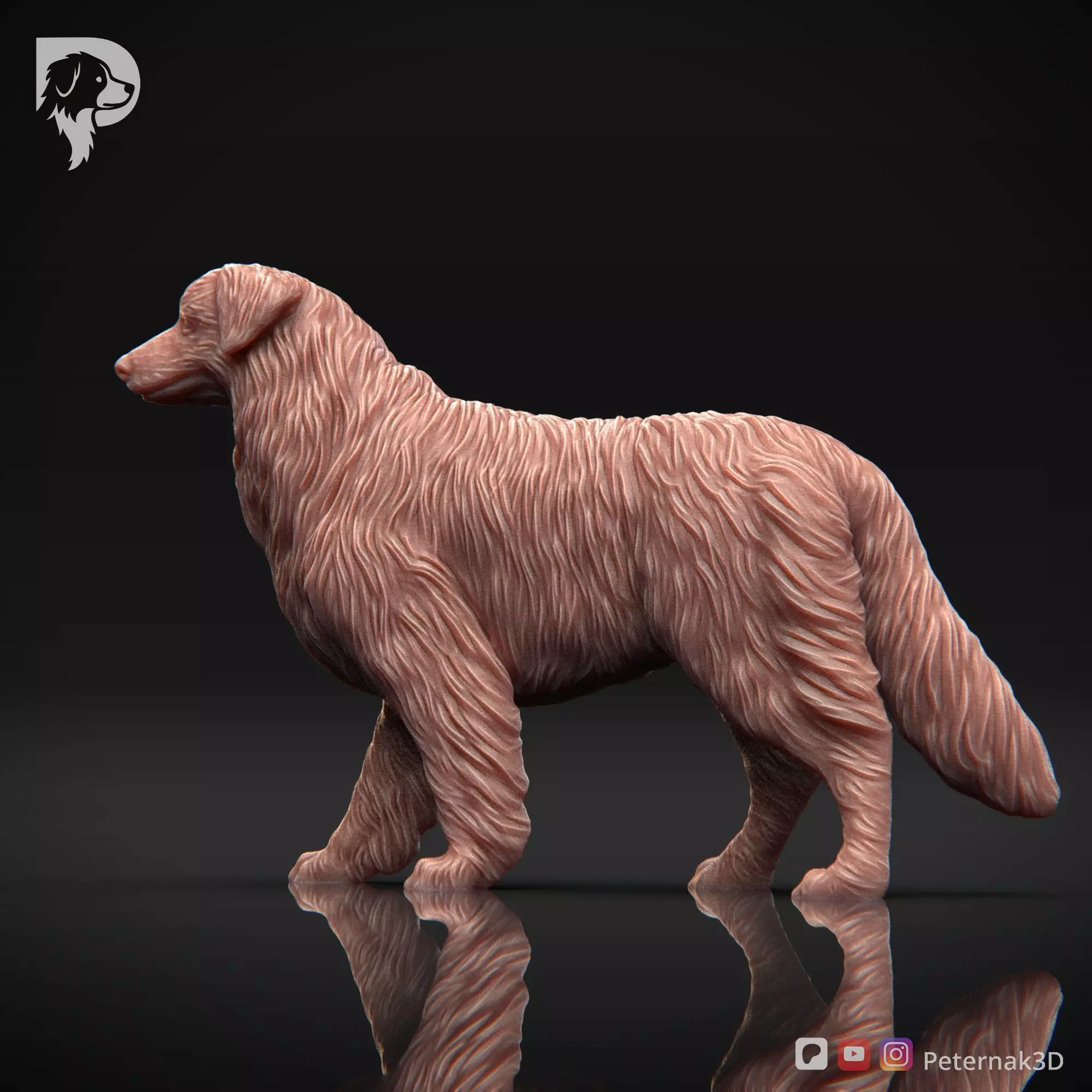 Dog 3D Print Model Australian Shepherd Dog Pose 02 Ready STL 3D print model_9