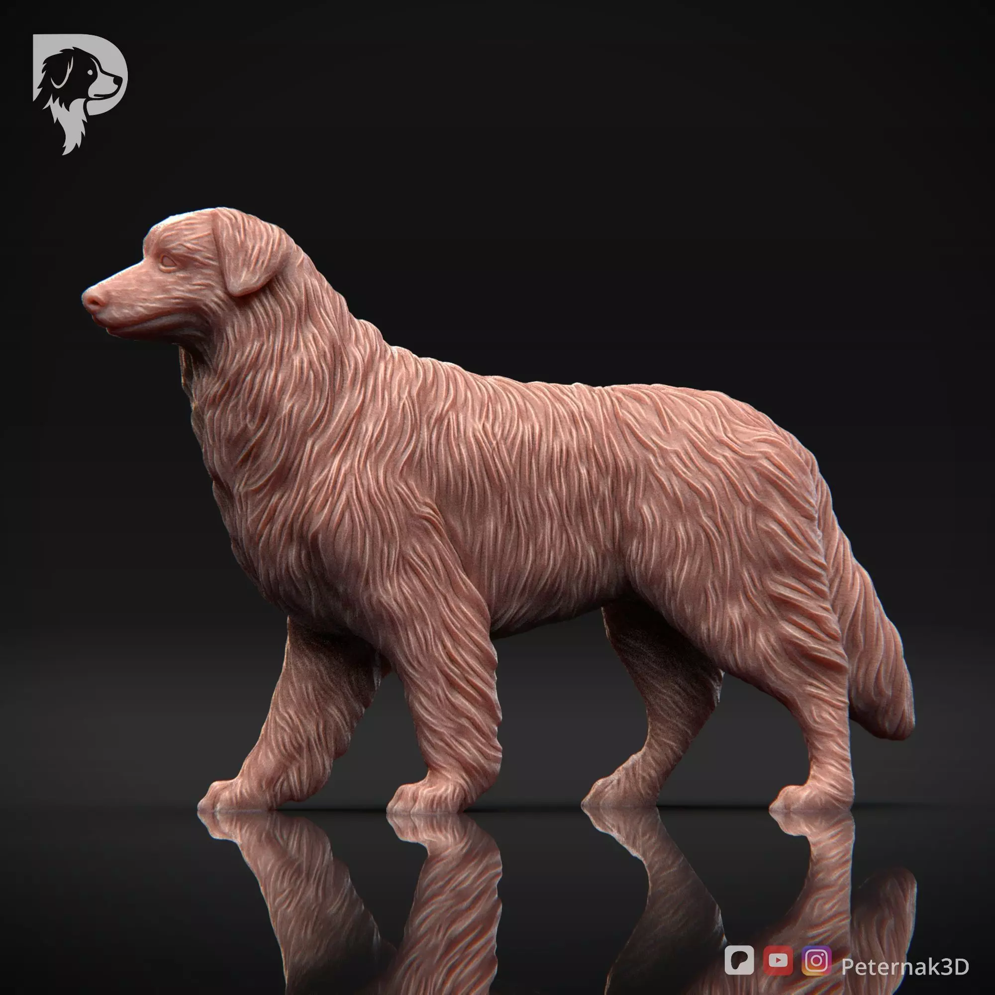 Dog 3D Print Model Australian Shepherd Dog Pose 02 Ready STL 3D print model_10
