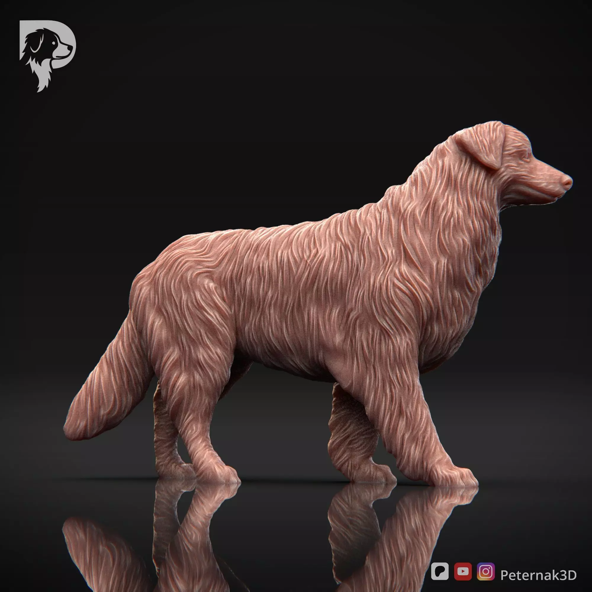 Dog 3D Print Model Australian Shepherd Dog Pose 02 Ready STL 3D print model_4