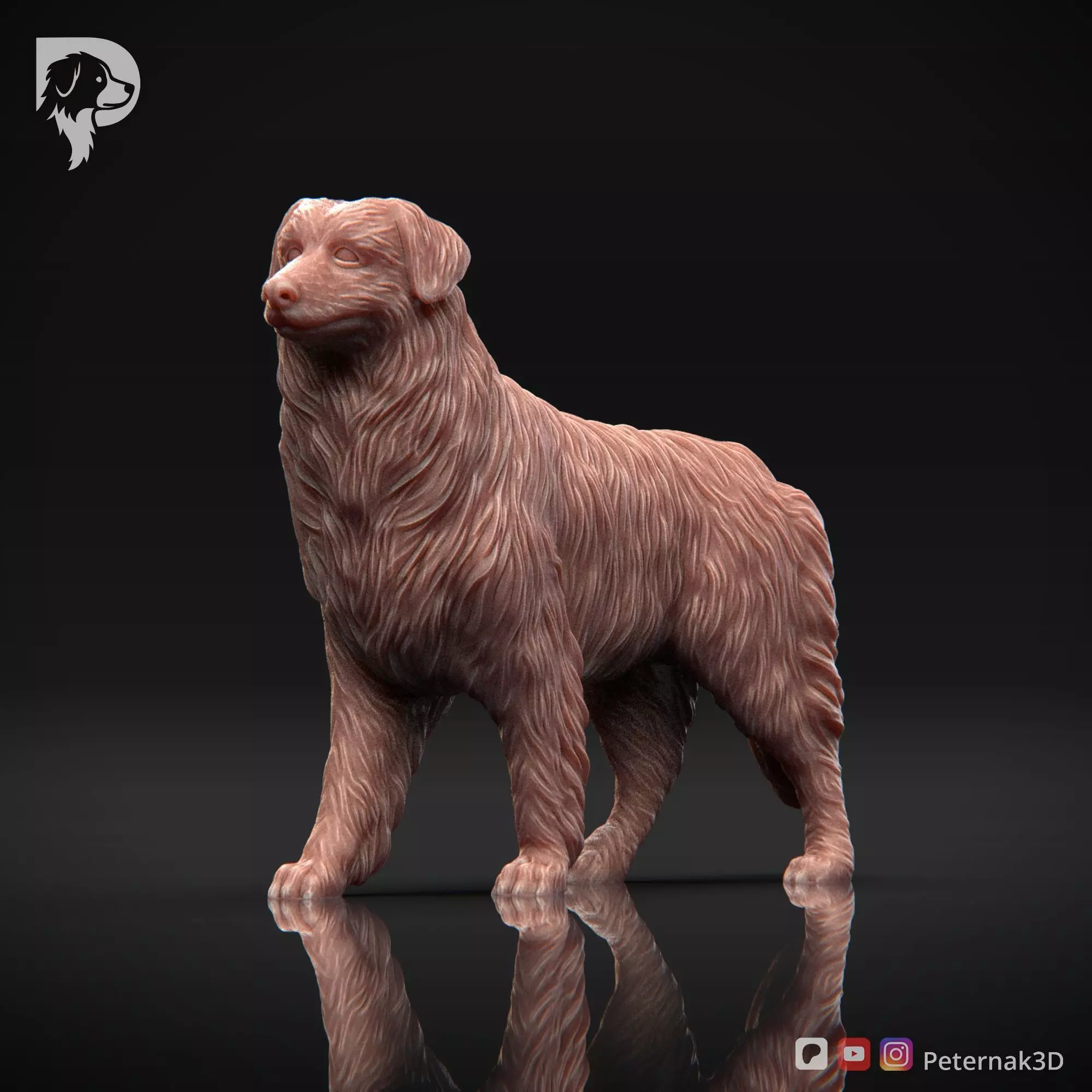 Dog 3D Print Model Australian Shepherd Dog Pose 02 Ready STL 3D print model_11