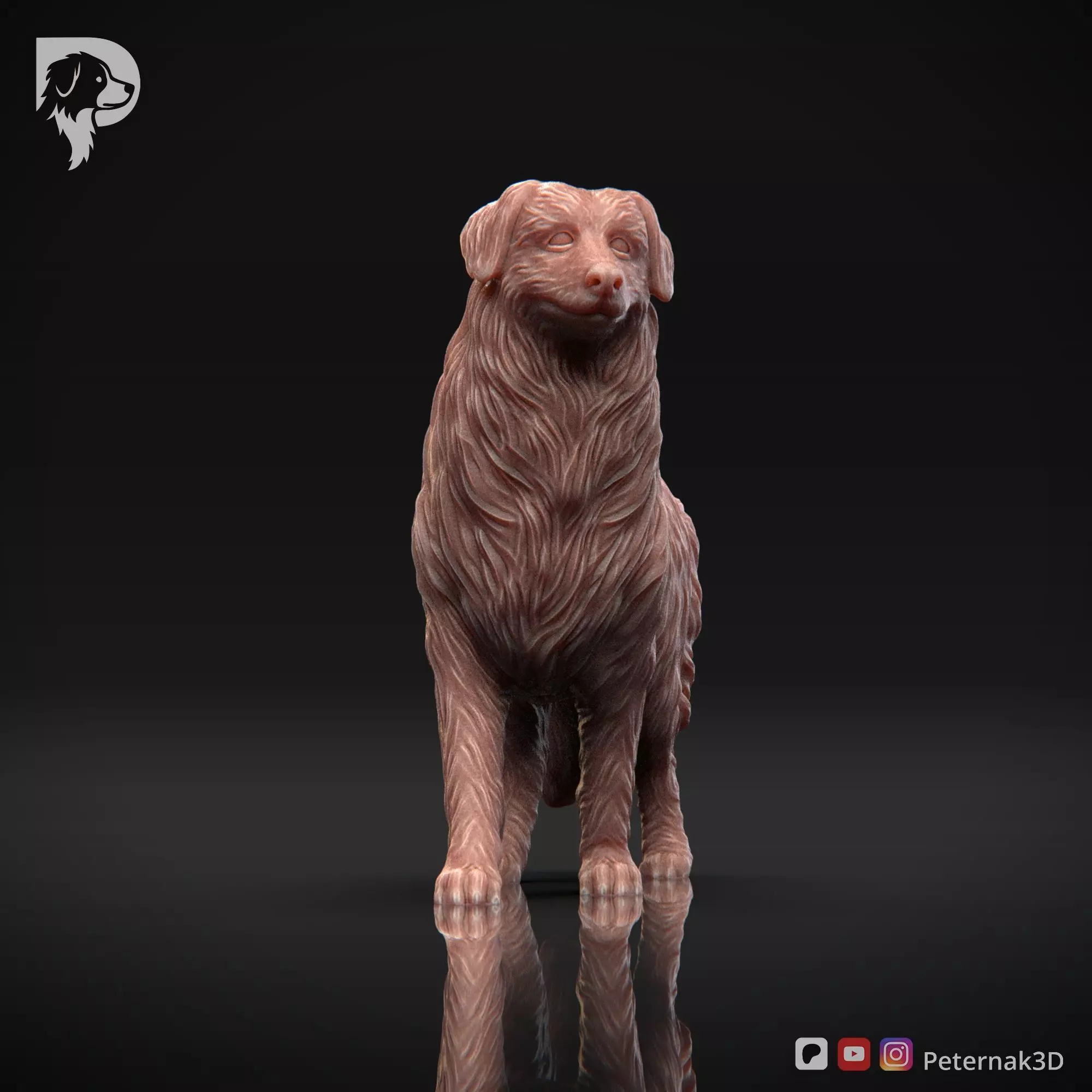 Dog 3D Print Model Australian Shepherd Dog Pose 02 Ready STL 3D print model_2