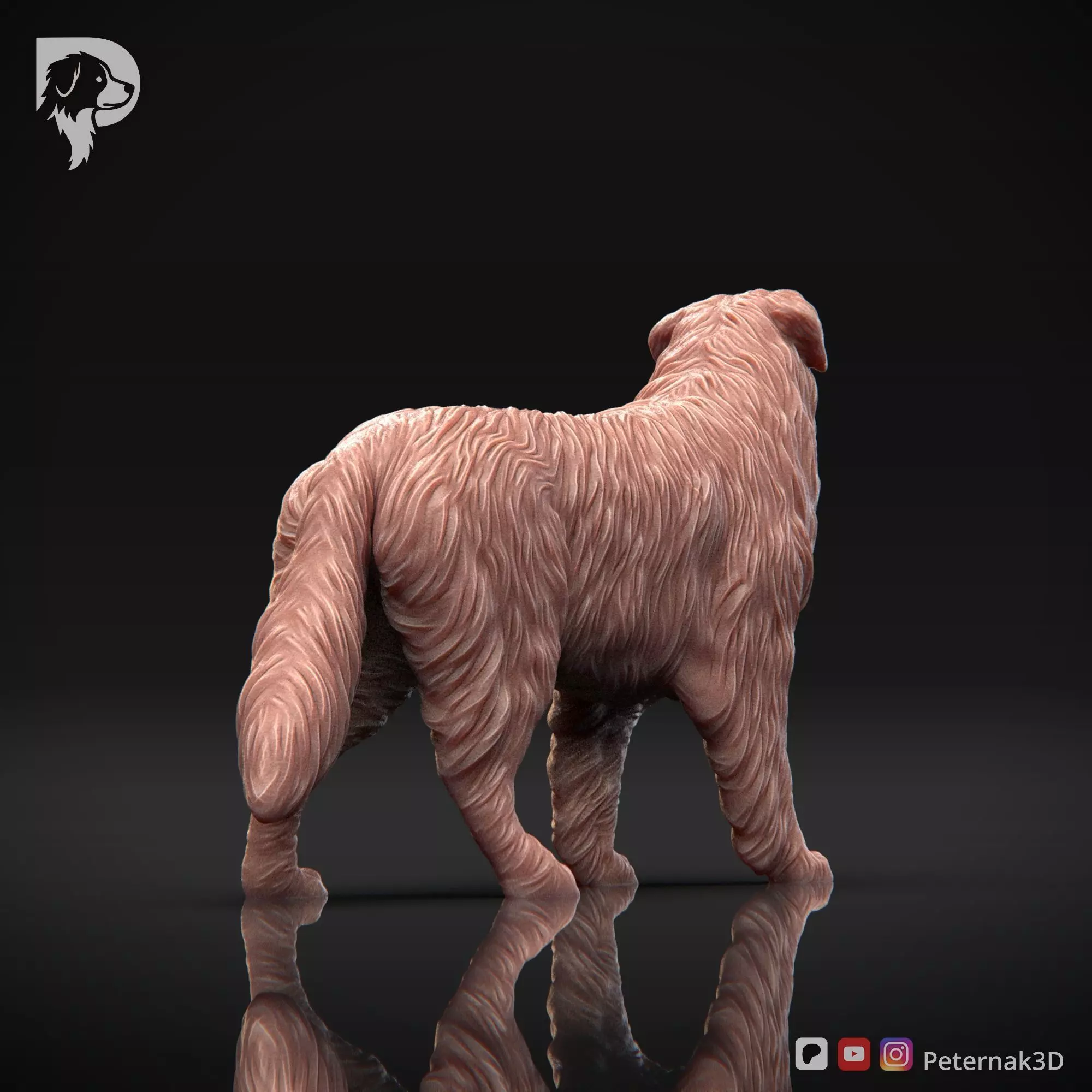 Dog 3D Print Model Australian Shepherd Dog Pose 02 Ready STL 3D print model_6