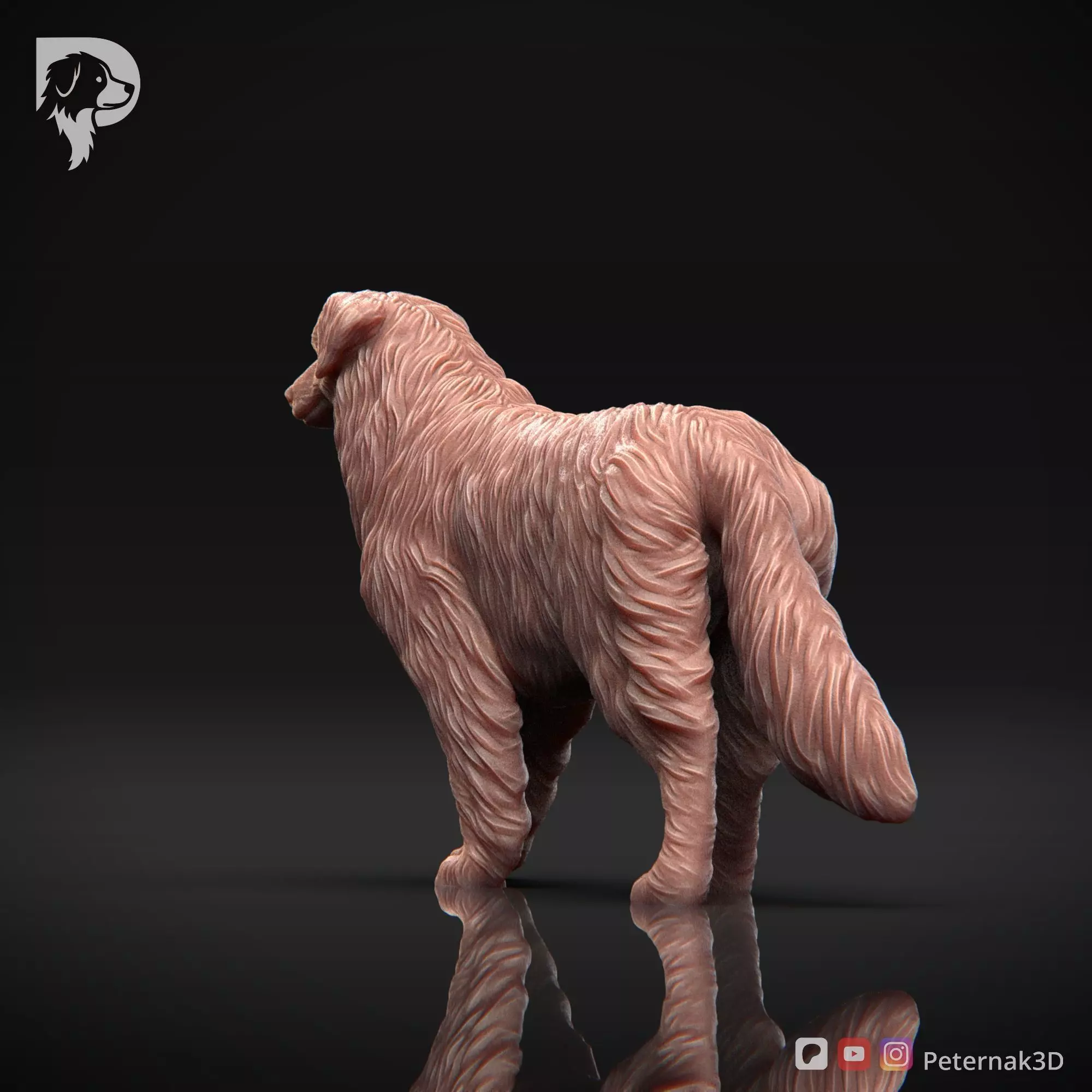 Dog 3D Print Model Australian Shepherd Dog Pose 02 Ready STL 3D print model_8
