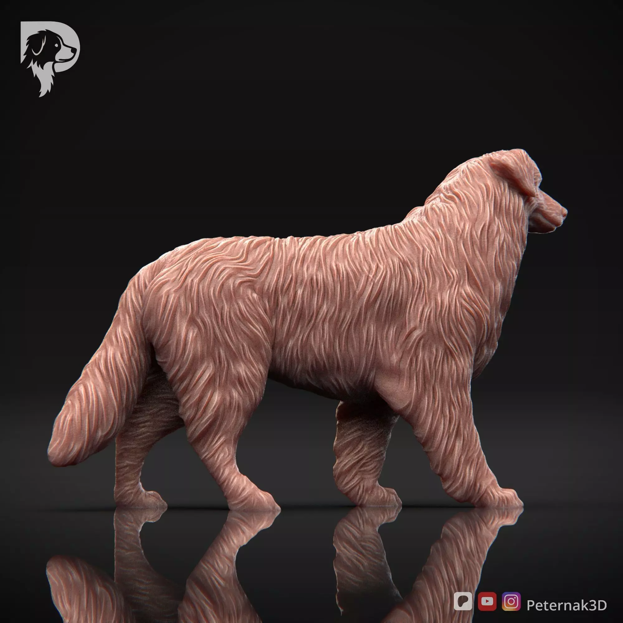 Dog 3D Print Model Australian Shepherd Dog Pose 02 Ready STL 3D print model_5